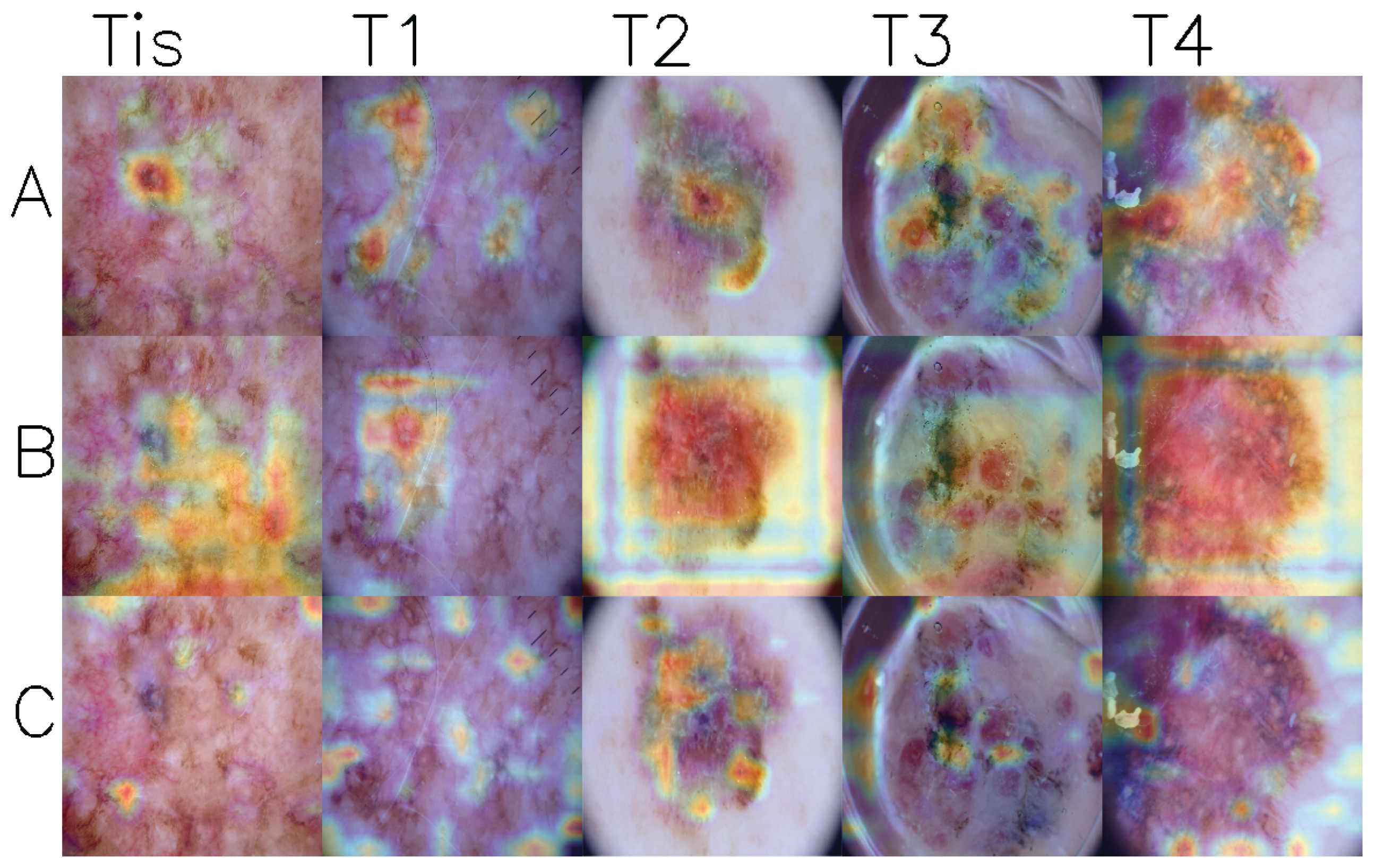 Preprints 164569 g003