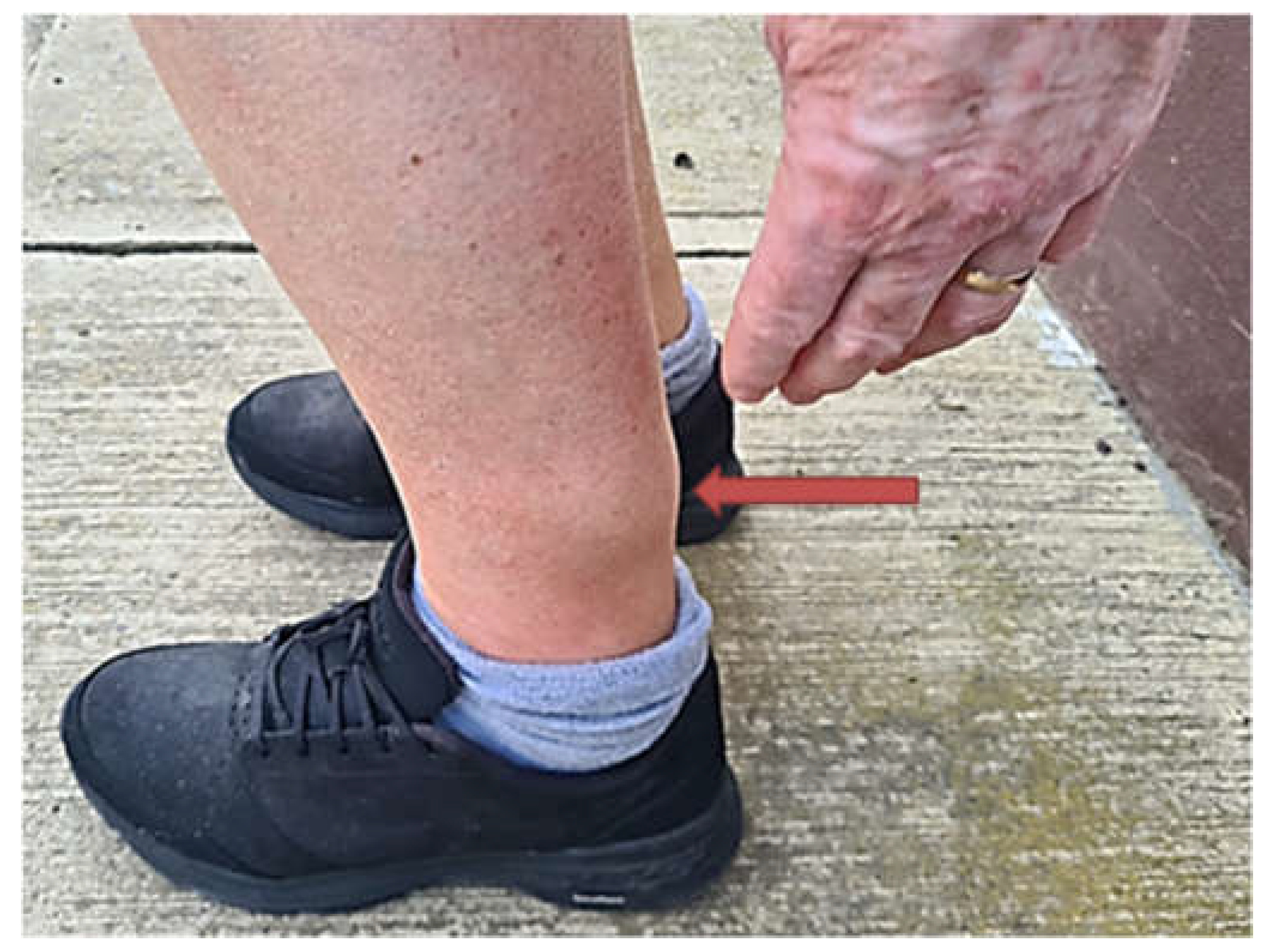 Preprints 148643 g001