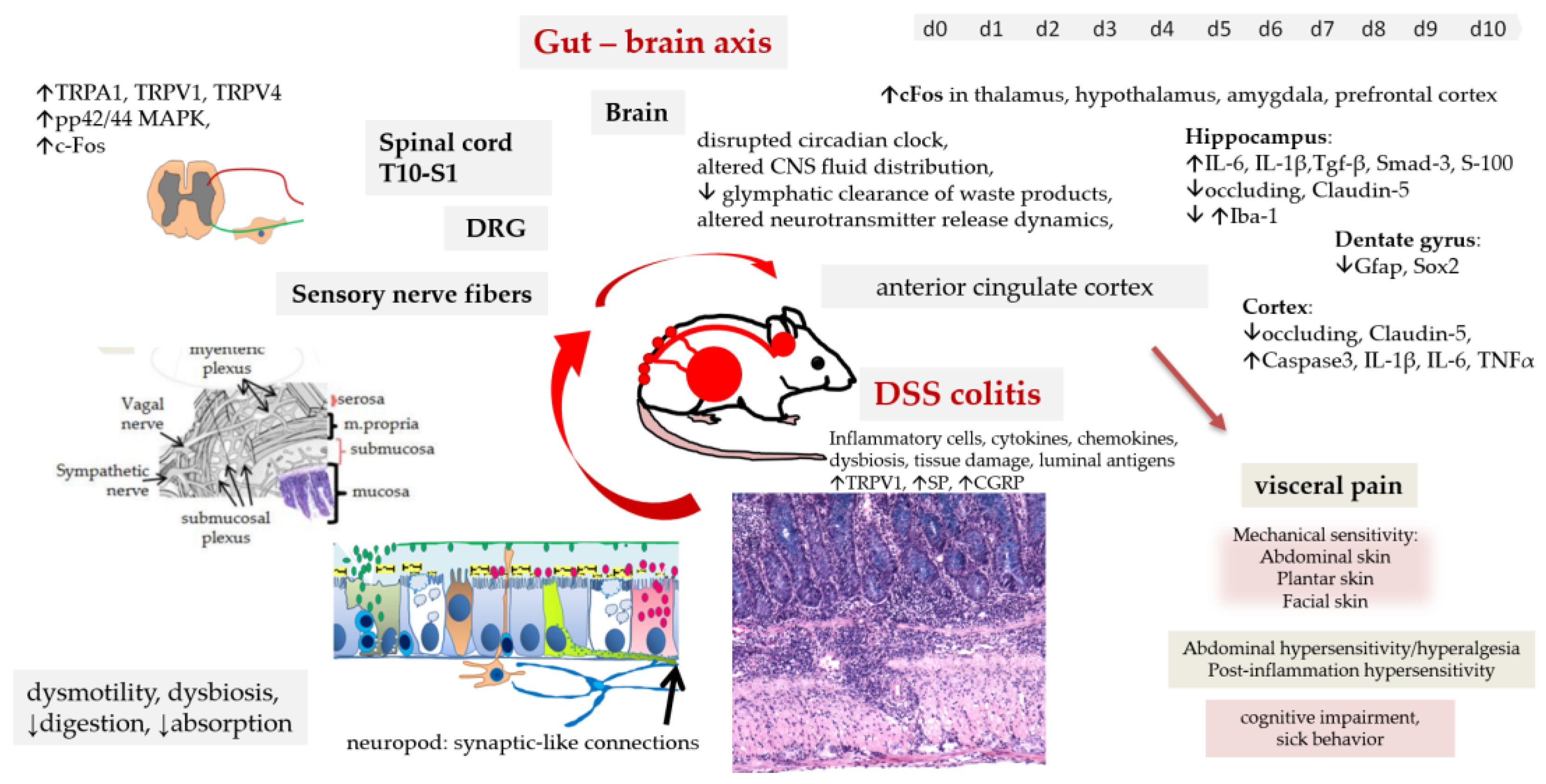 Preprints 202842 g006 Preprints 202842 g006