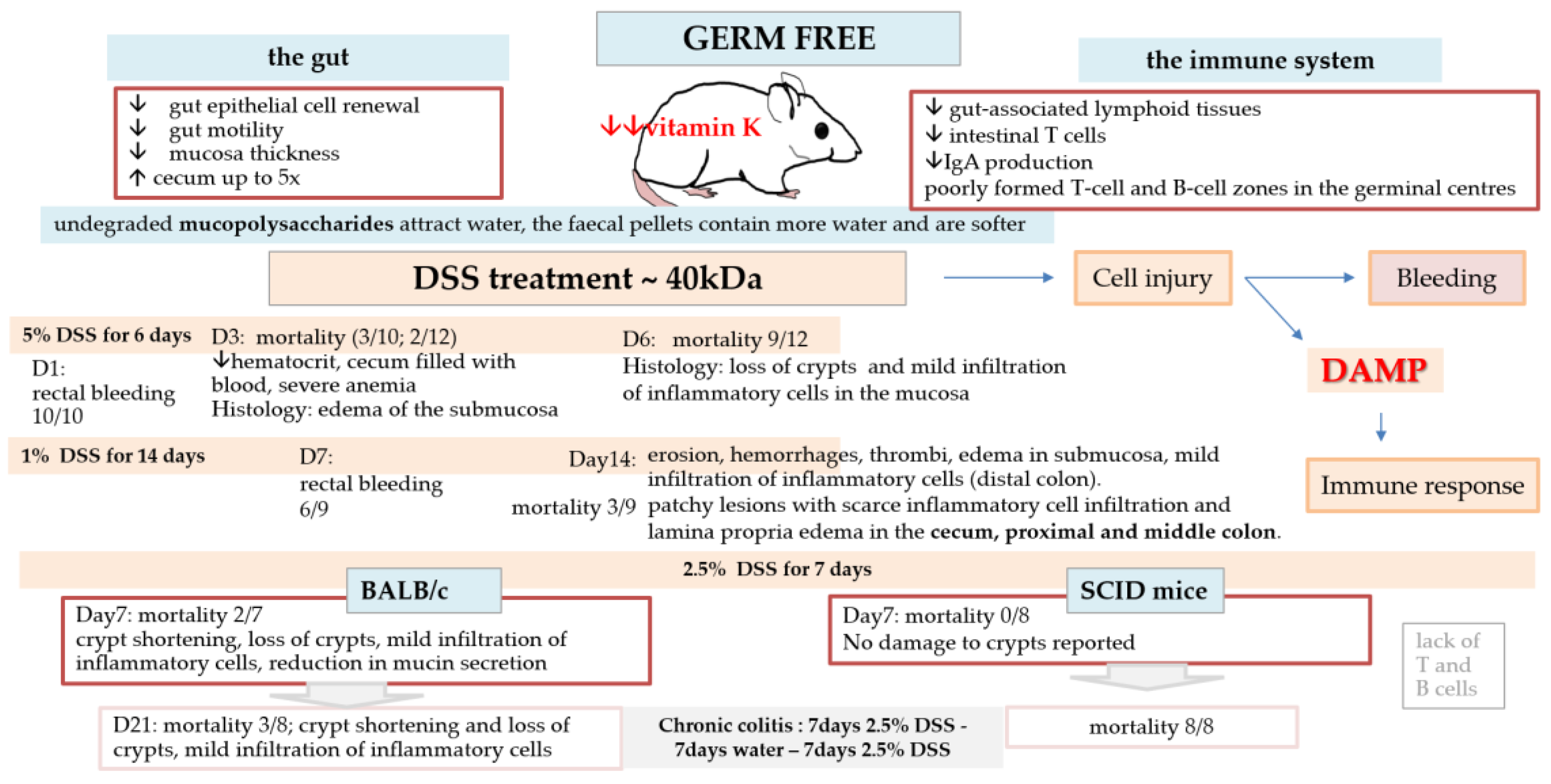 Preprints 202842 g009 Preprints 202842 g009