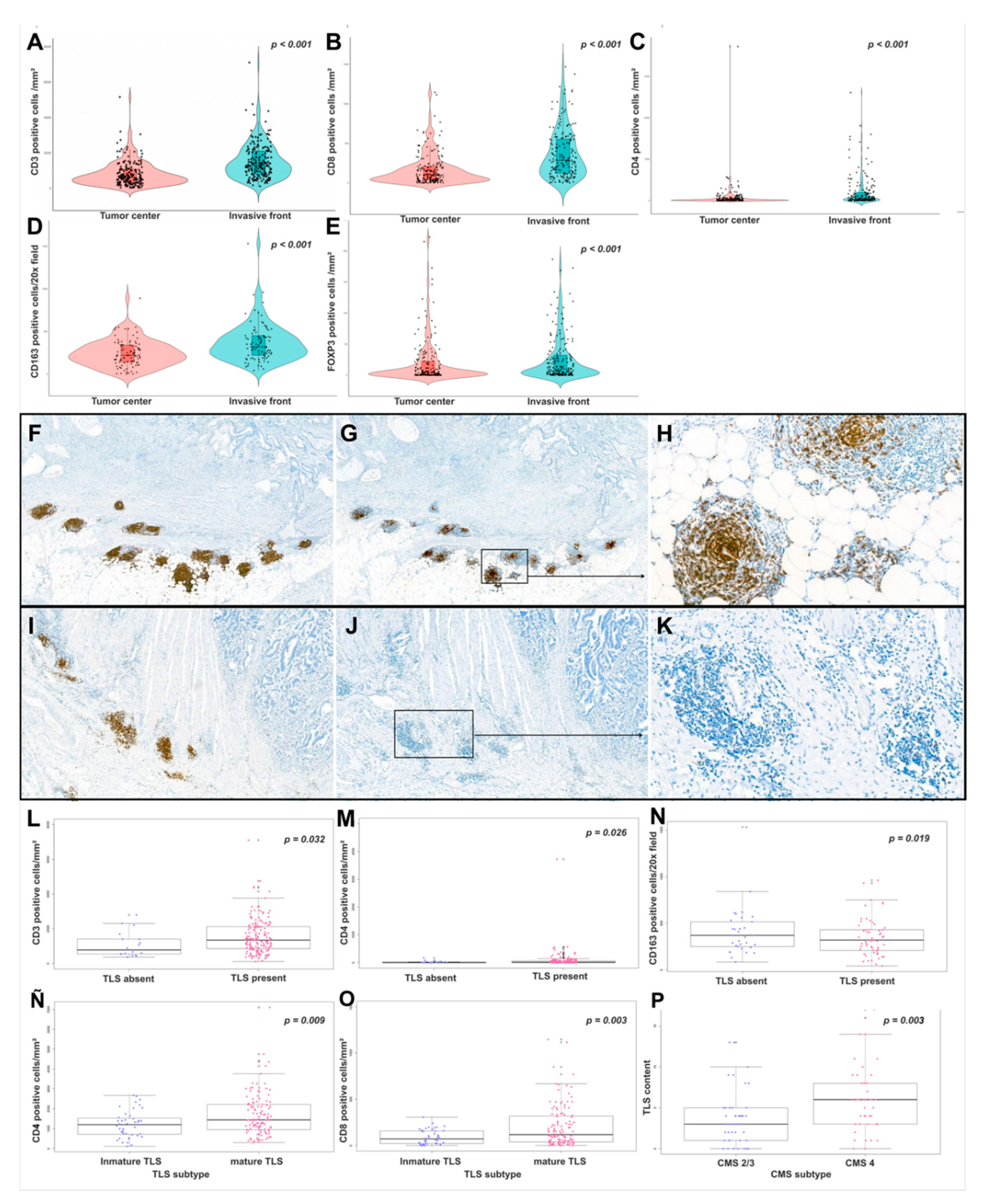 Preprints 202362 g001