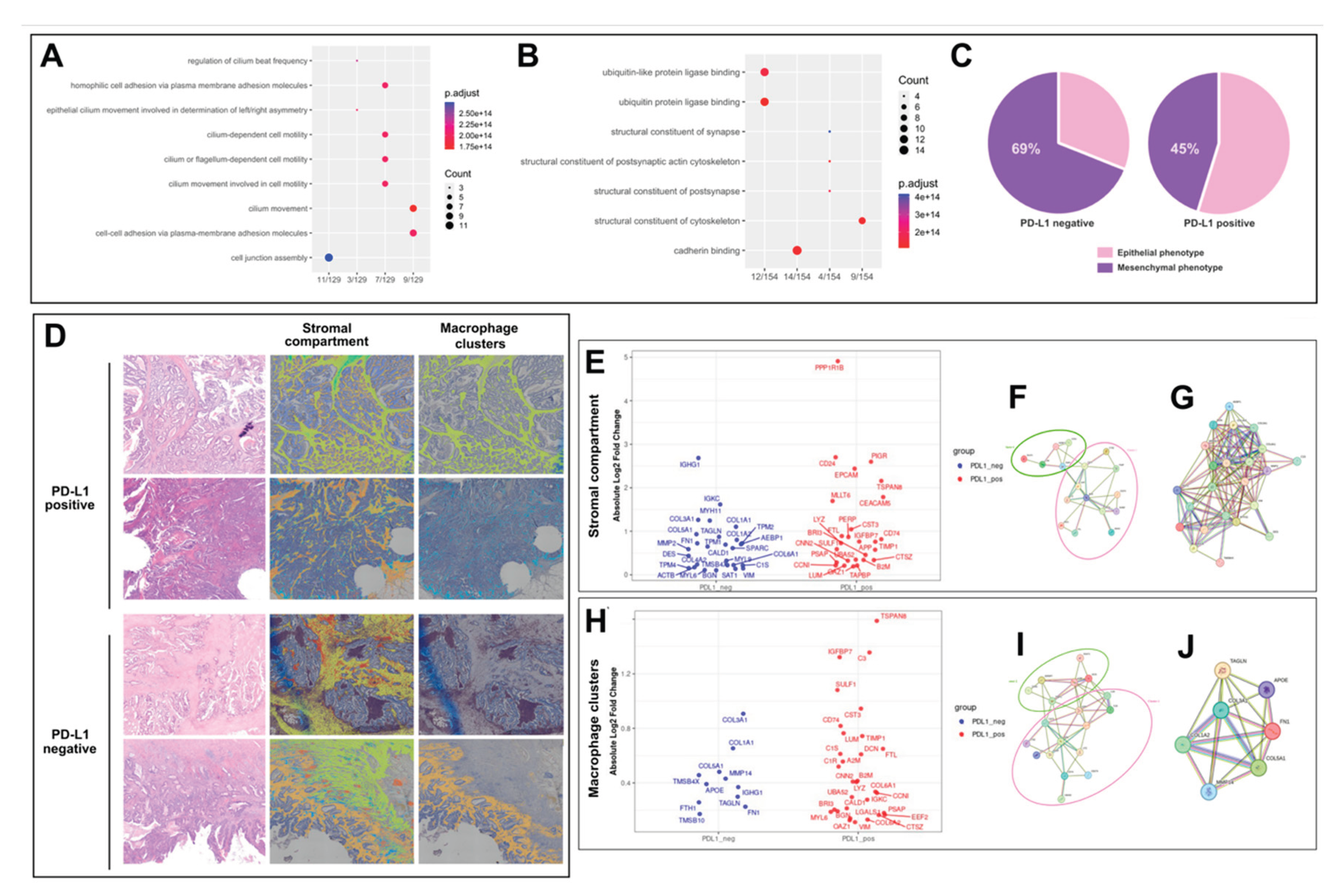 Preprints 202362 g003