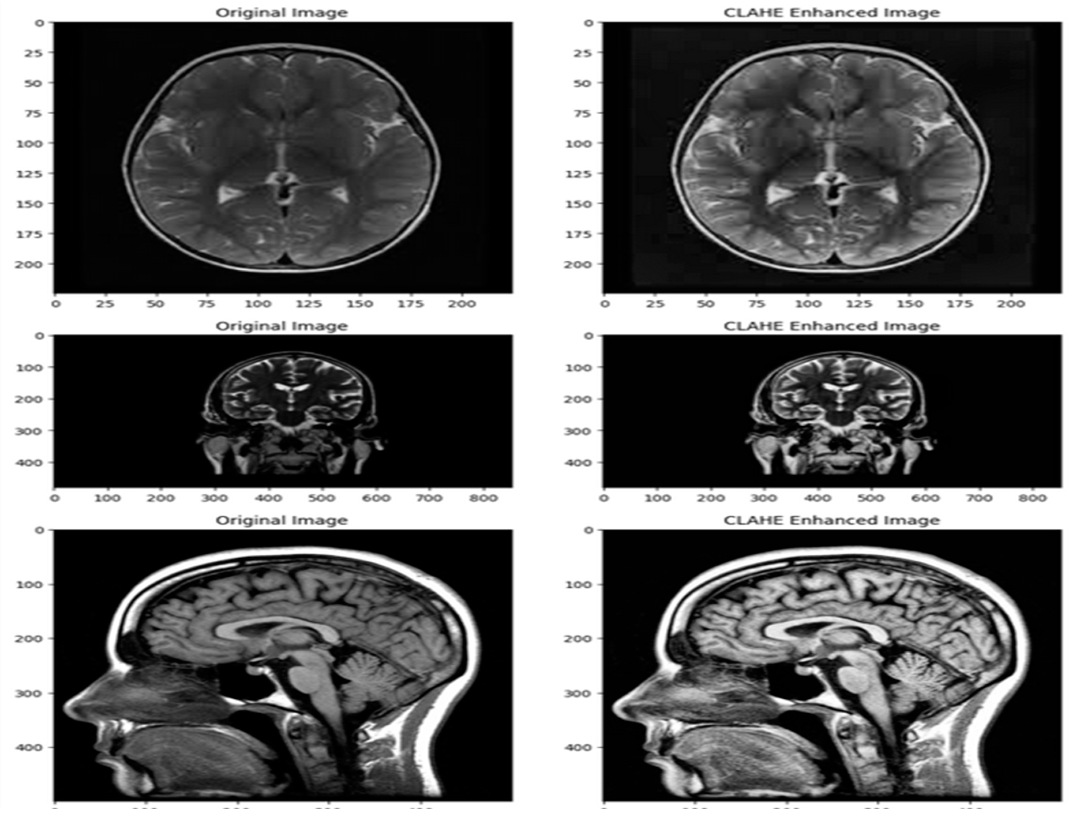 Preprints 142072 g004