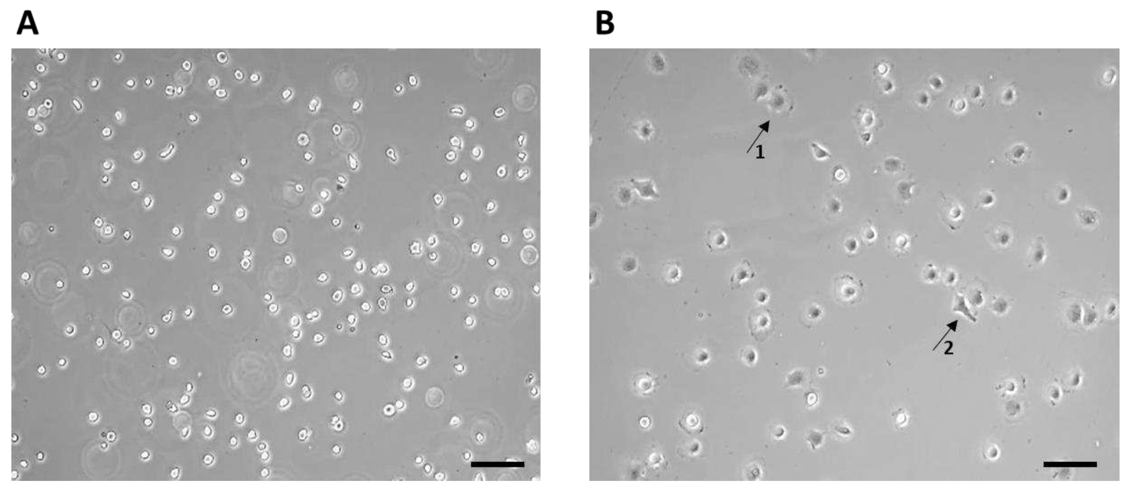 Preprints 77383 g003