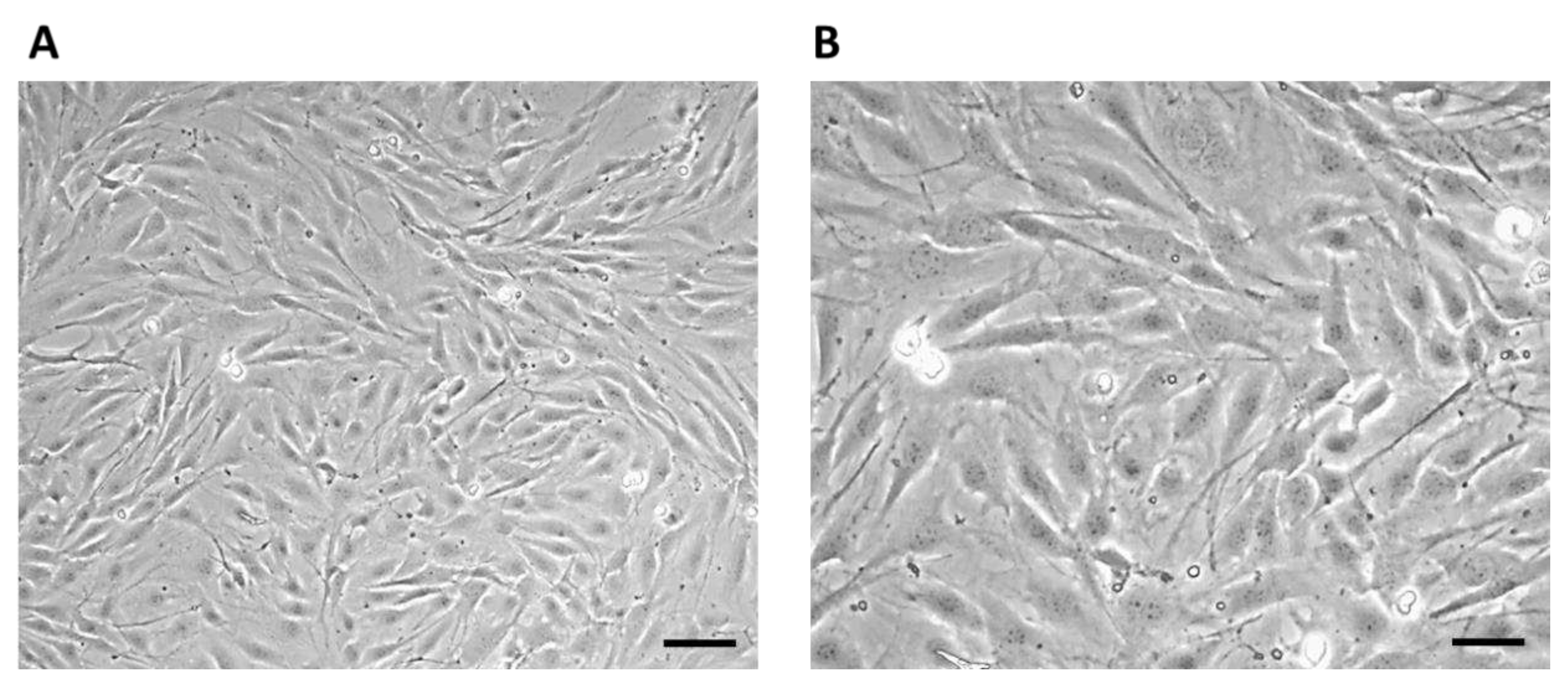 Preprints 77383 g005