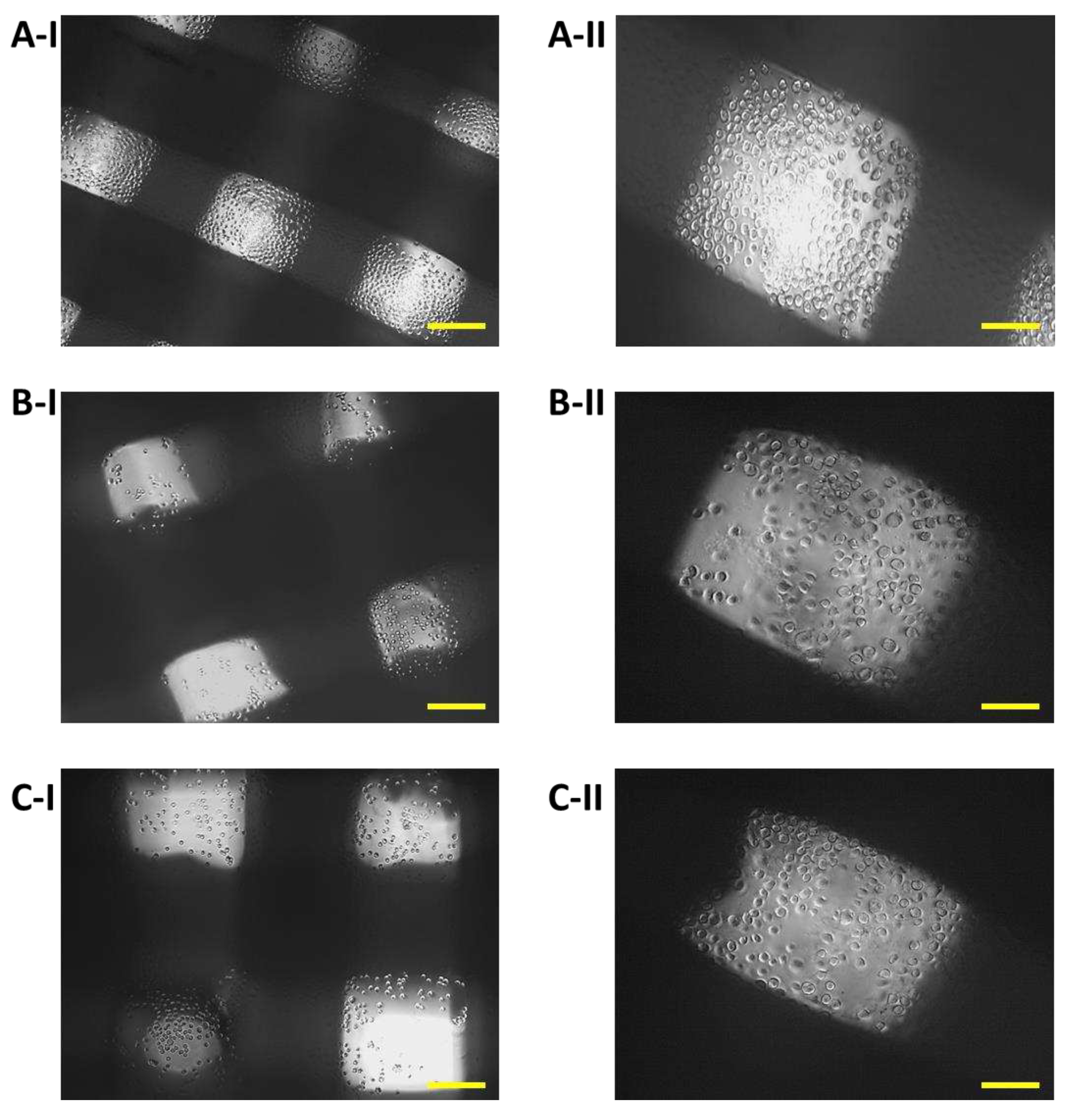 Preprints 77383 g008
