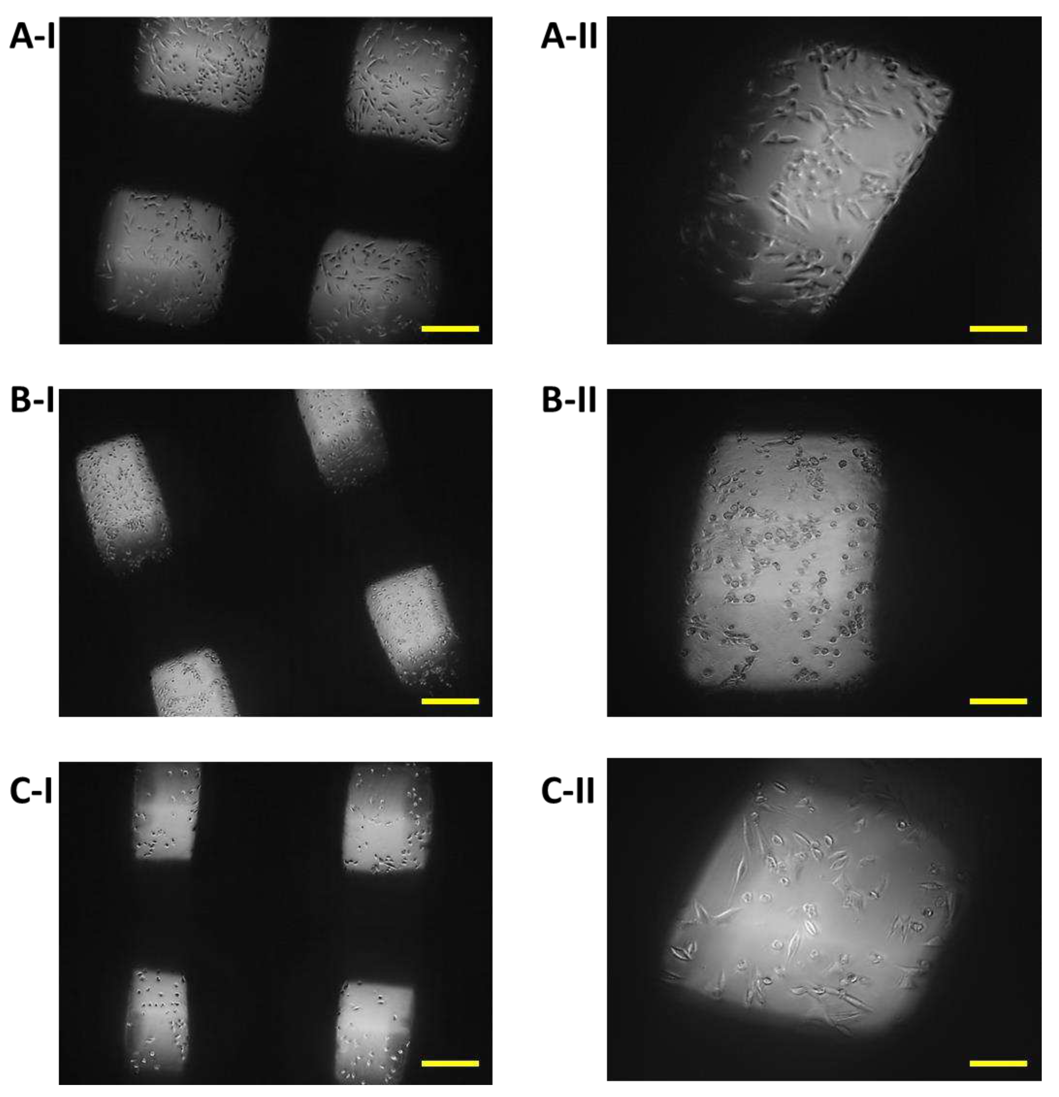 Preprints 77383 g009