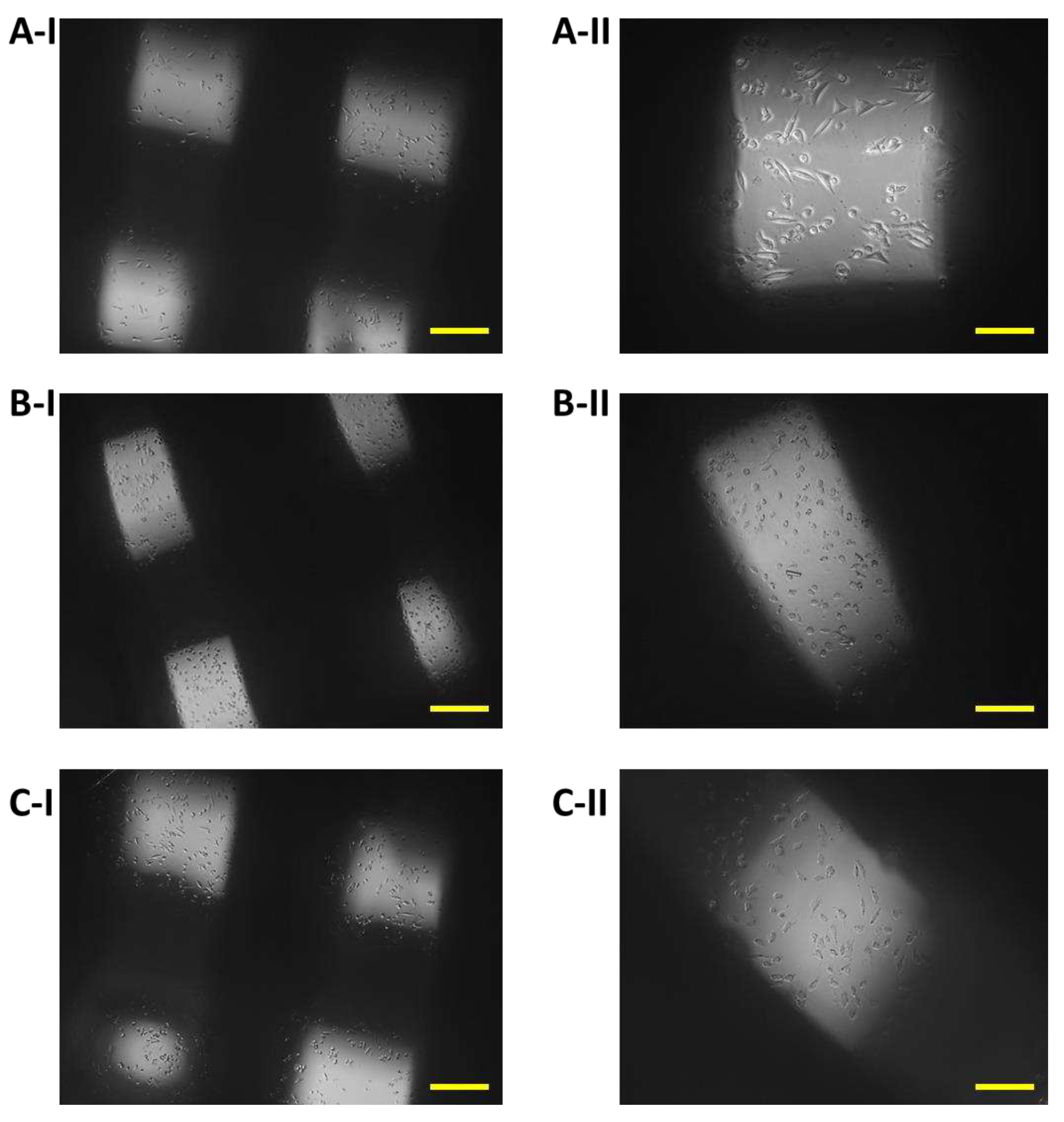 Preprints 77383 g010