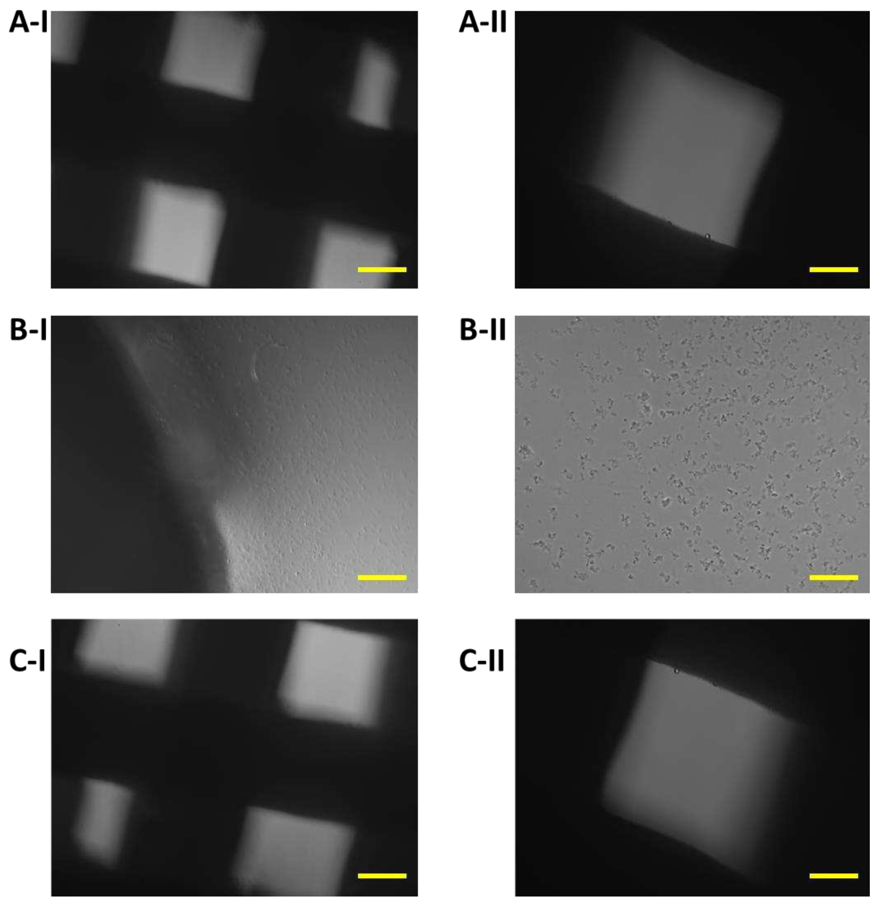 Preprints 77383 g011