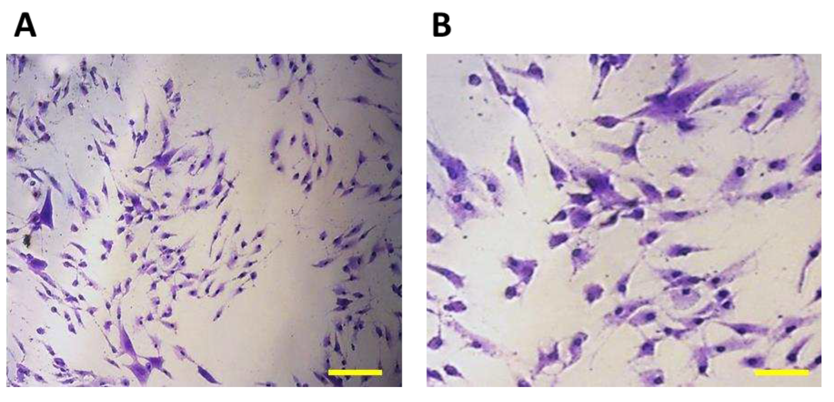 Preprints 77383 g012