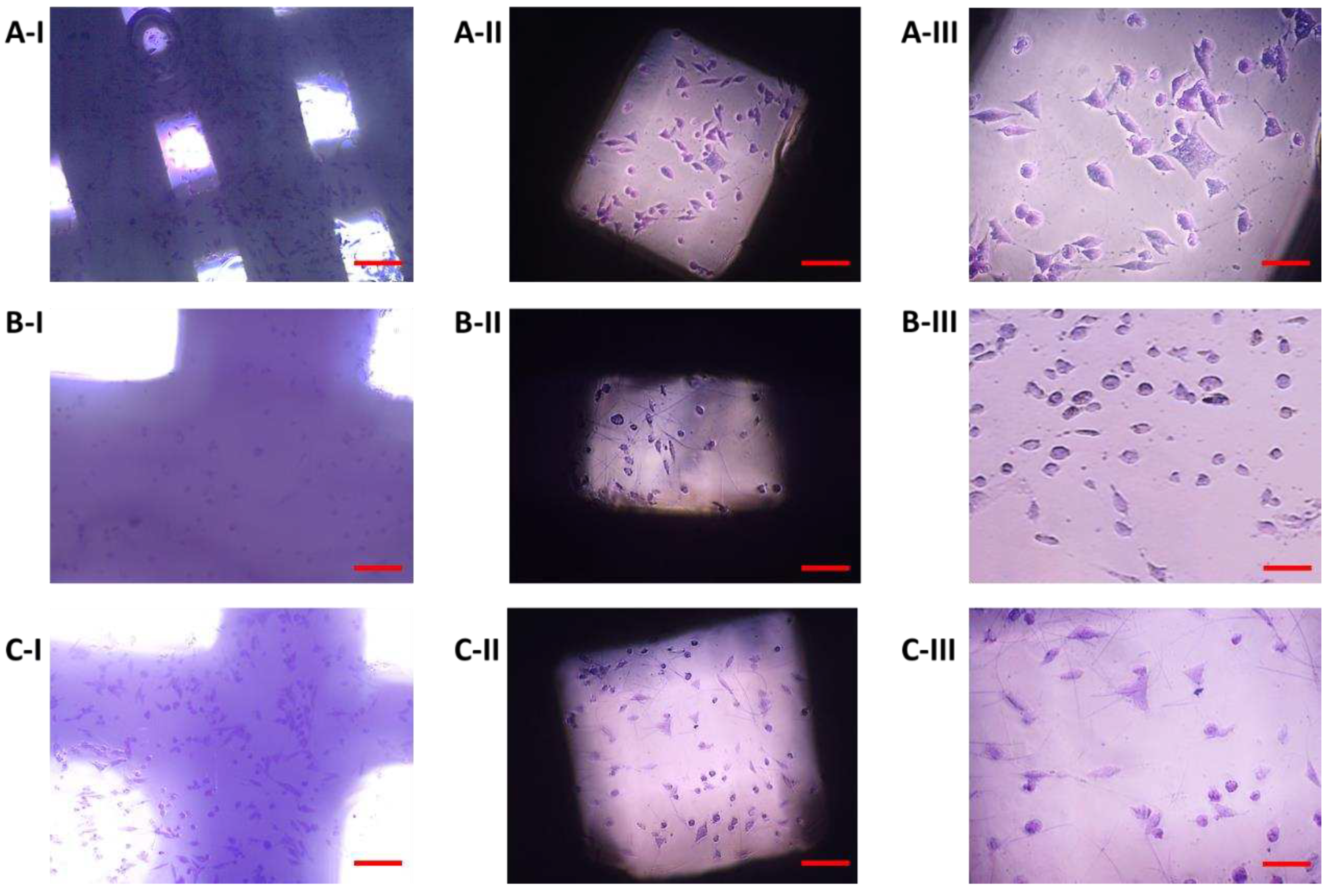 Preprints 77383 g013