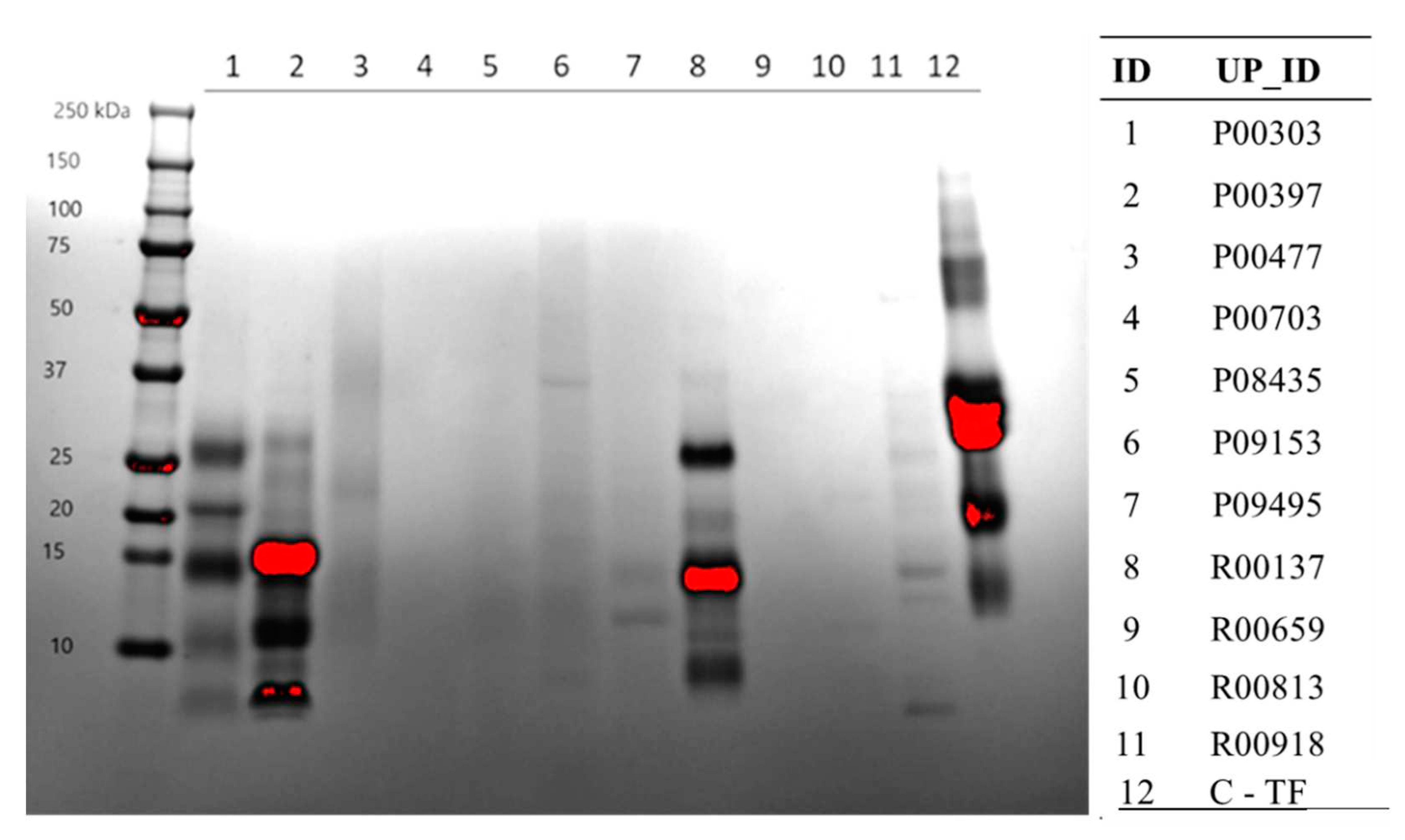 Preprints 90040 g003