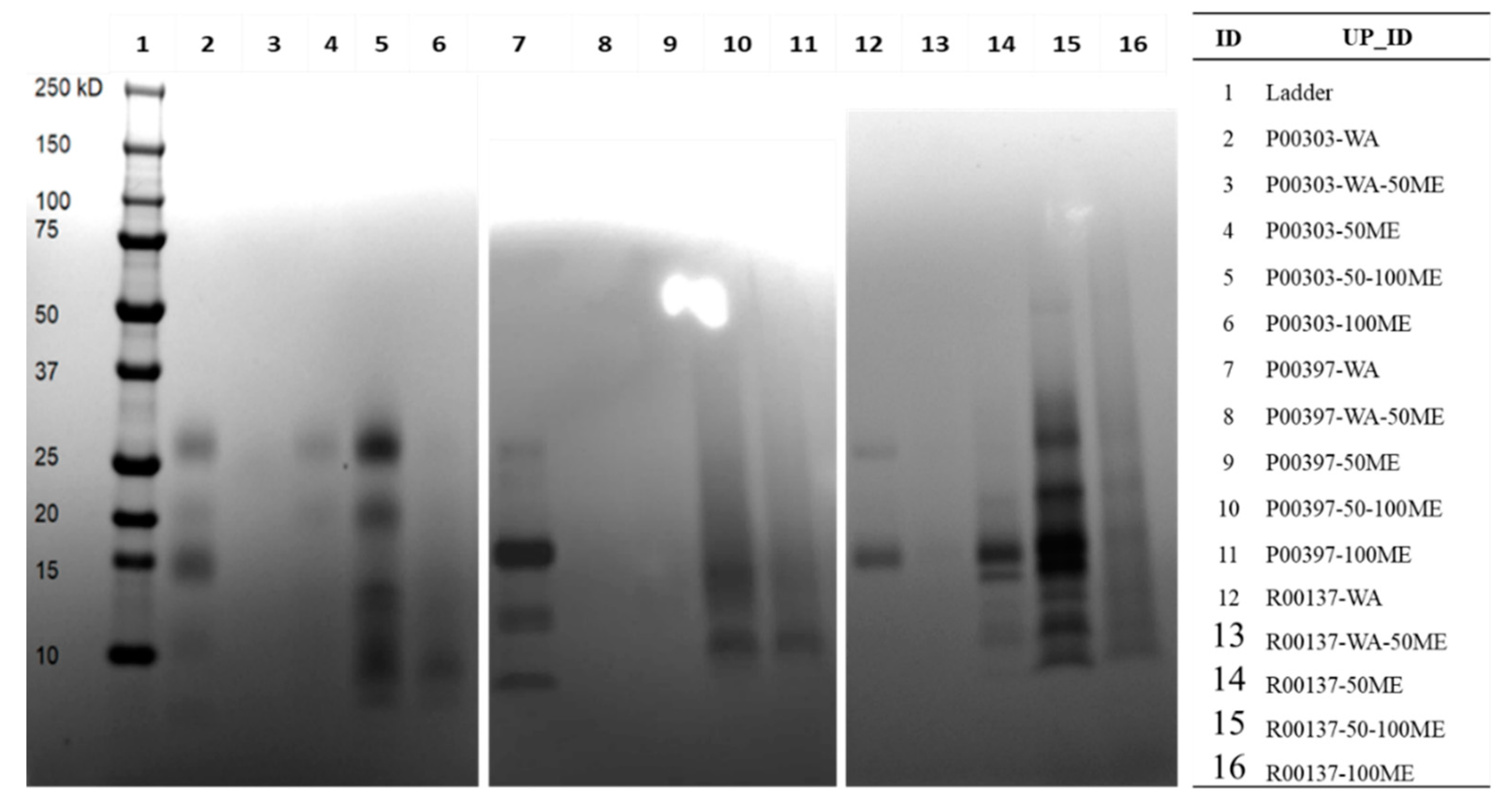 Preprints 90040 g004