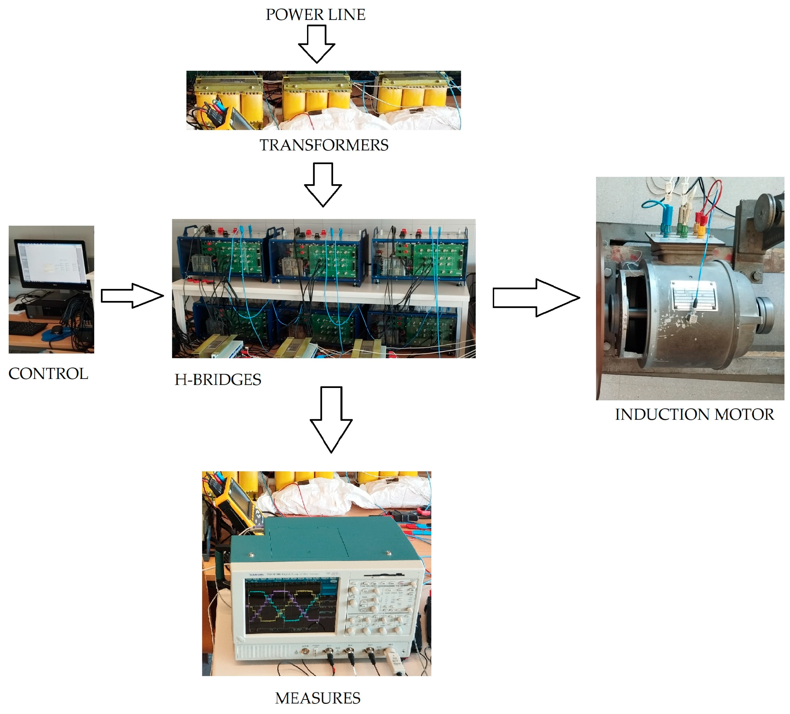 Preprints 164120 g003