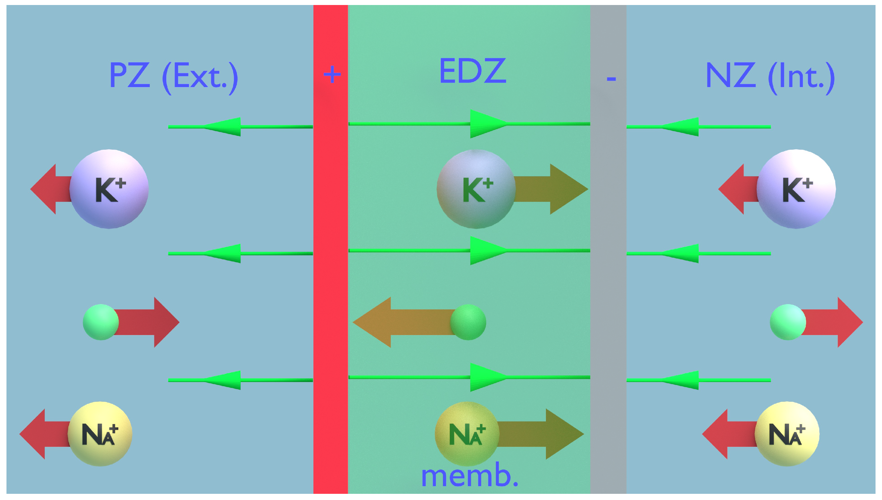 Preprints 142246 g006