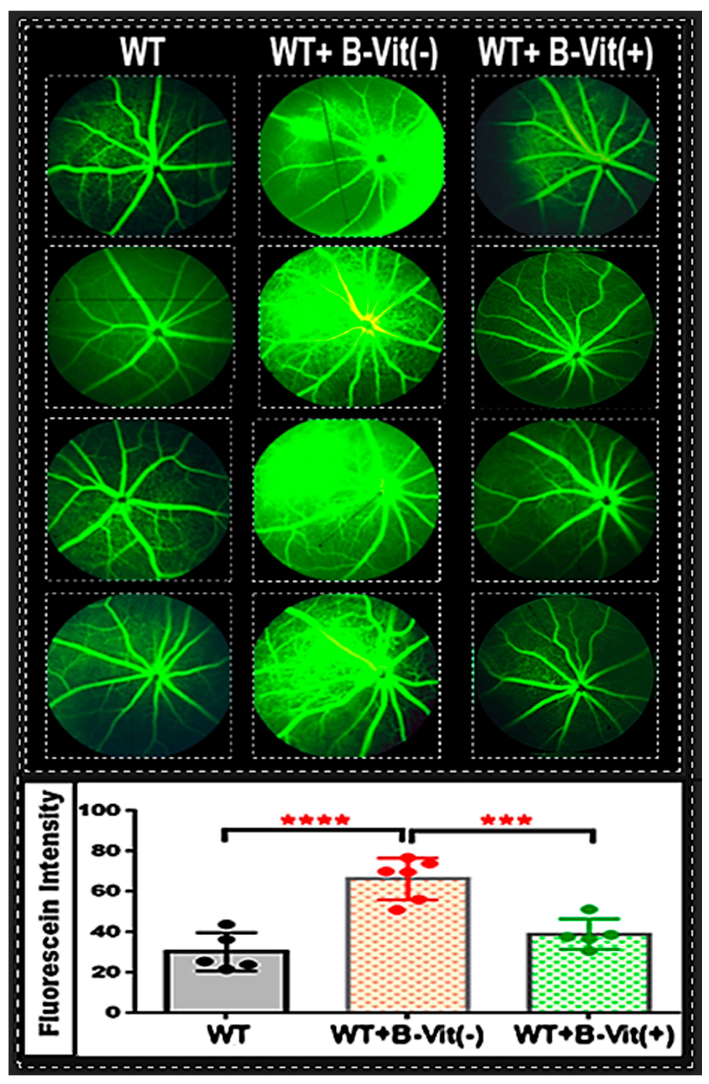 Preprints 188619 g003