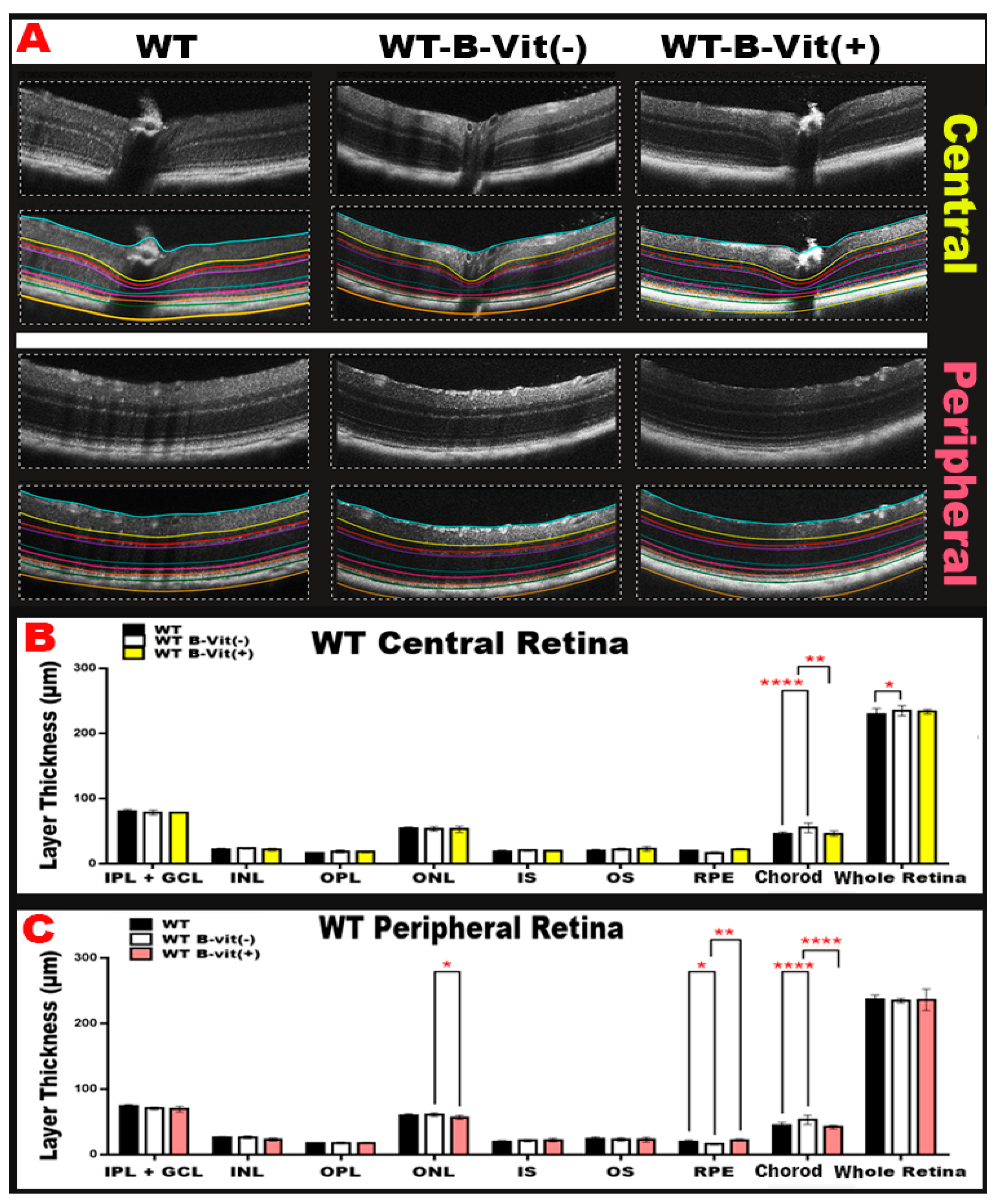 Preprints 188619 g004