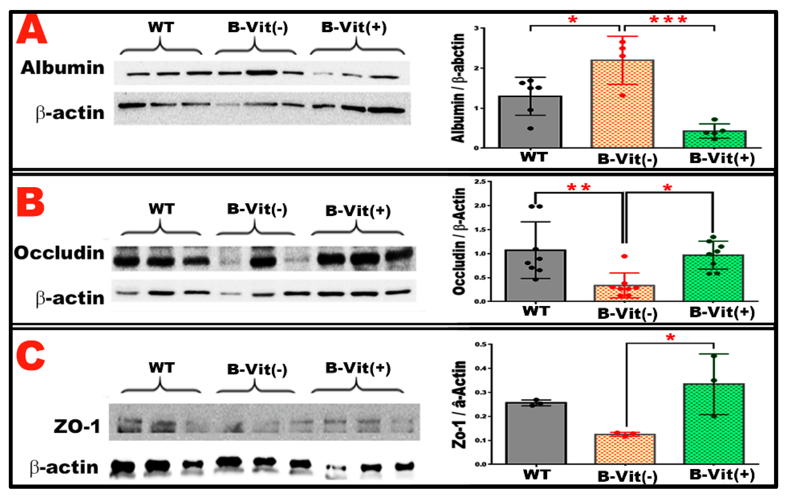 Preprints 188619 g005