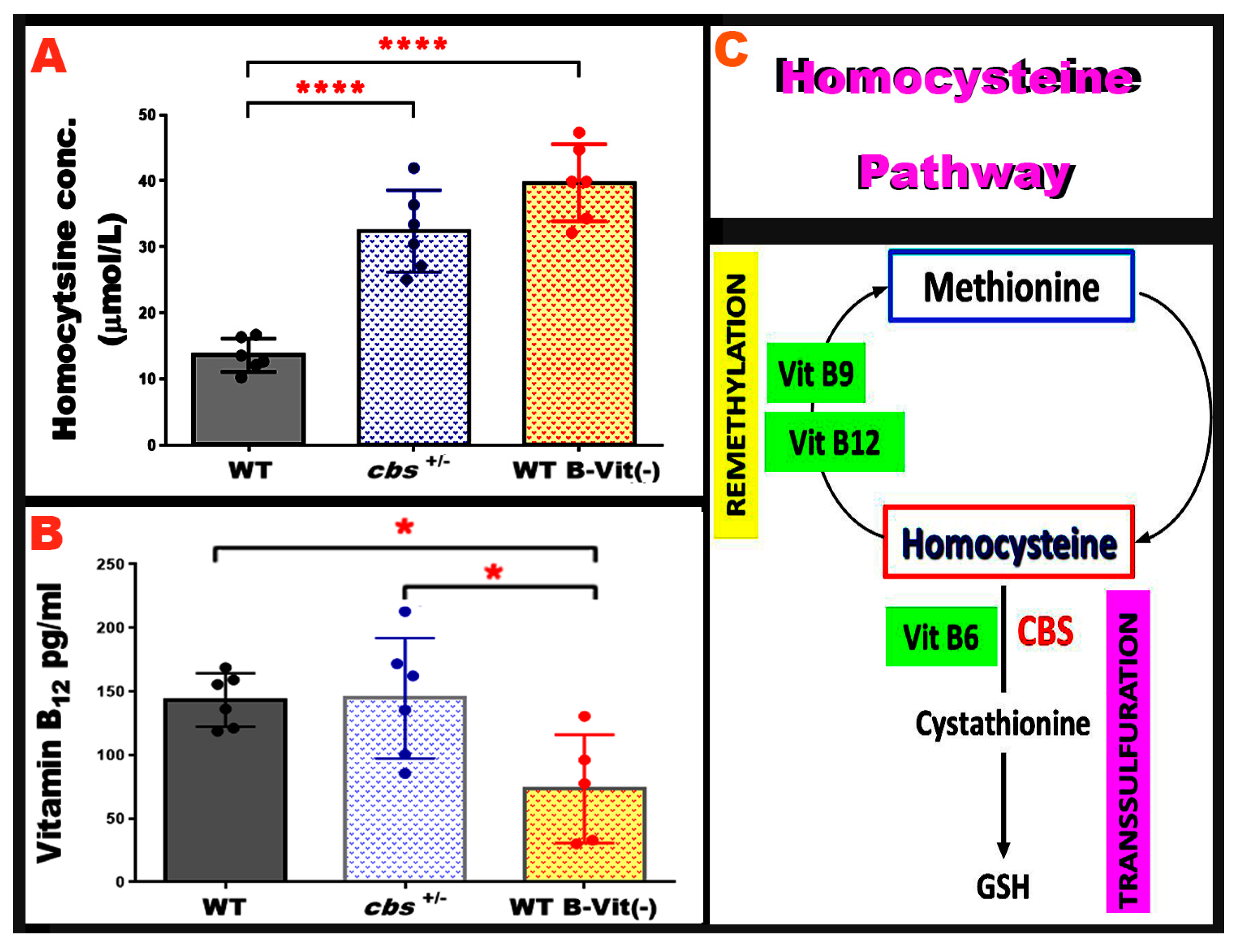 Preprints 188619 g006