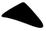 Preprints 198348 i011
