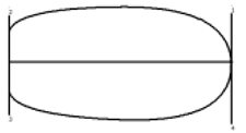 Preprints 198348 i024