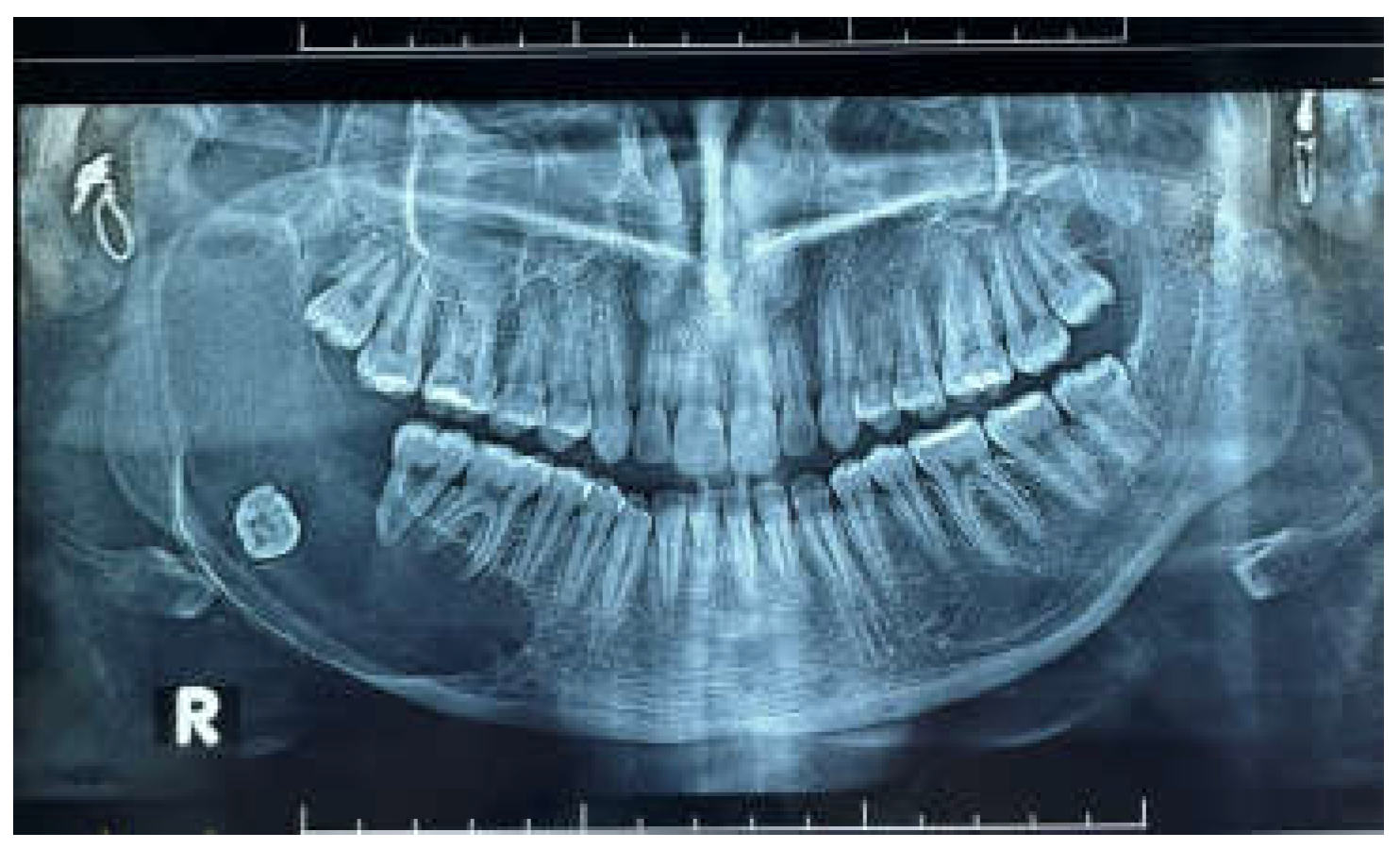 Preprints 153534 g001