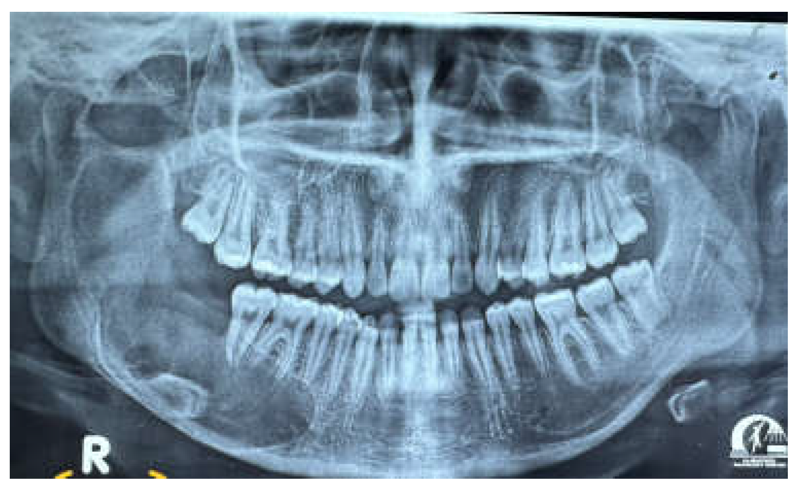 Preprints 153534 g002