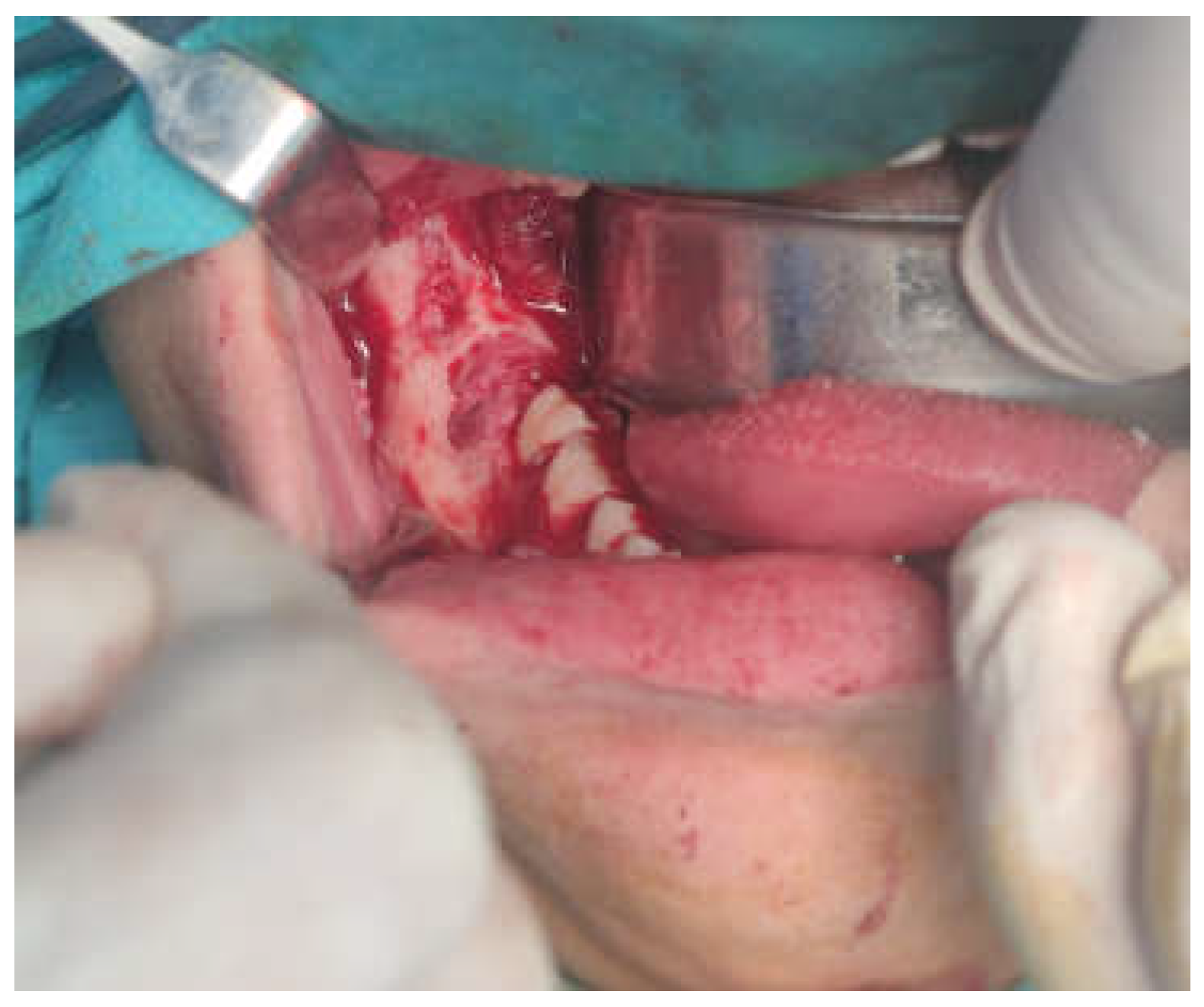 Preprints 153534 g005