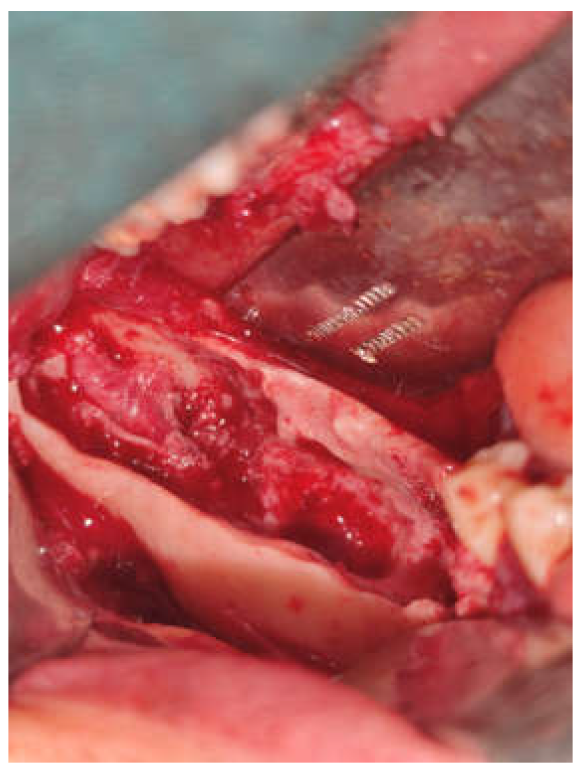 Preprints 153534 g006