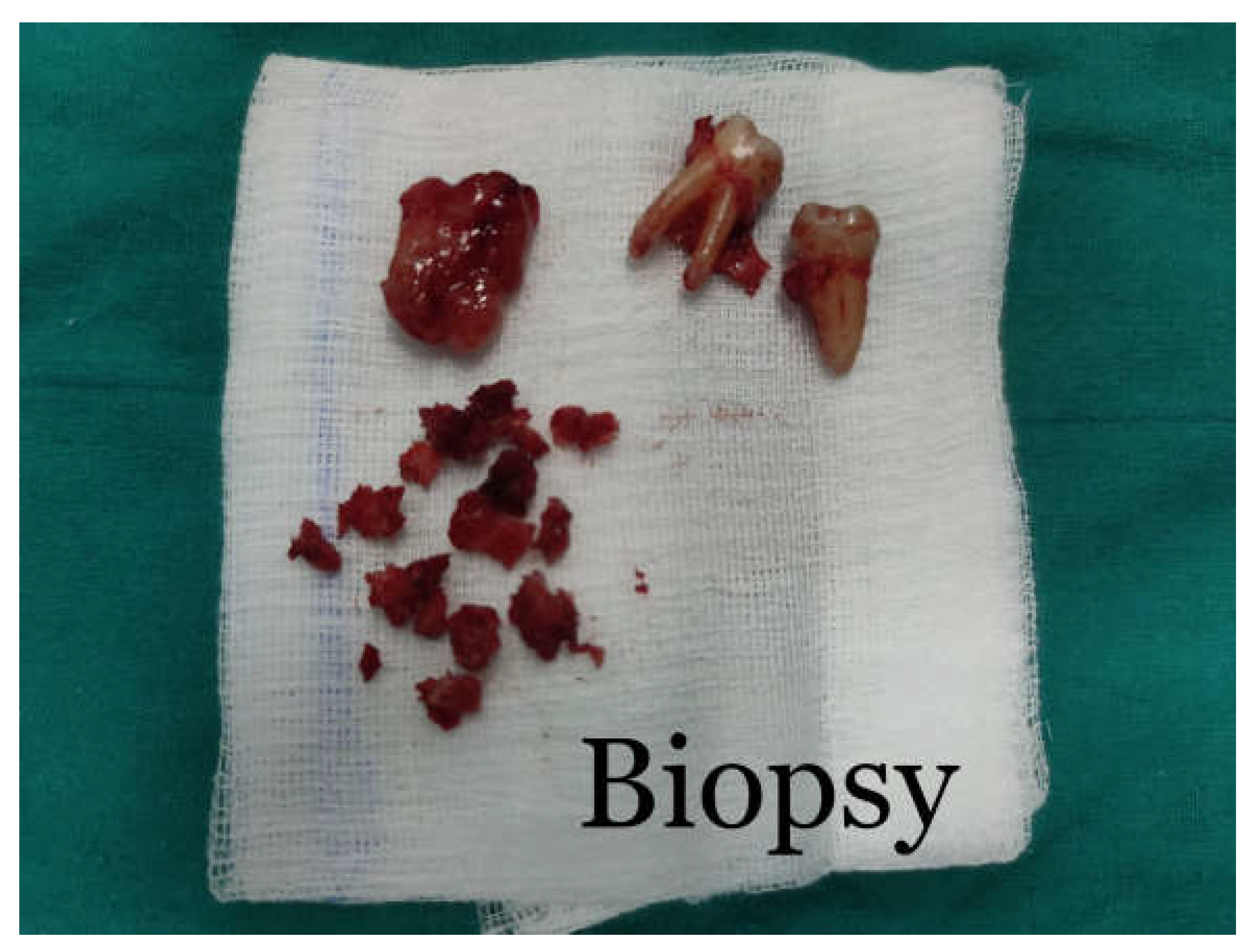 Preprints 153534 g007