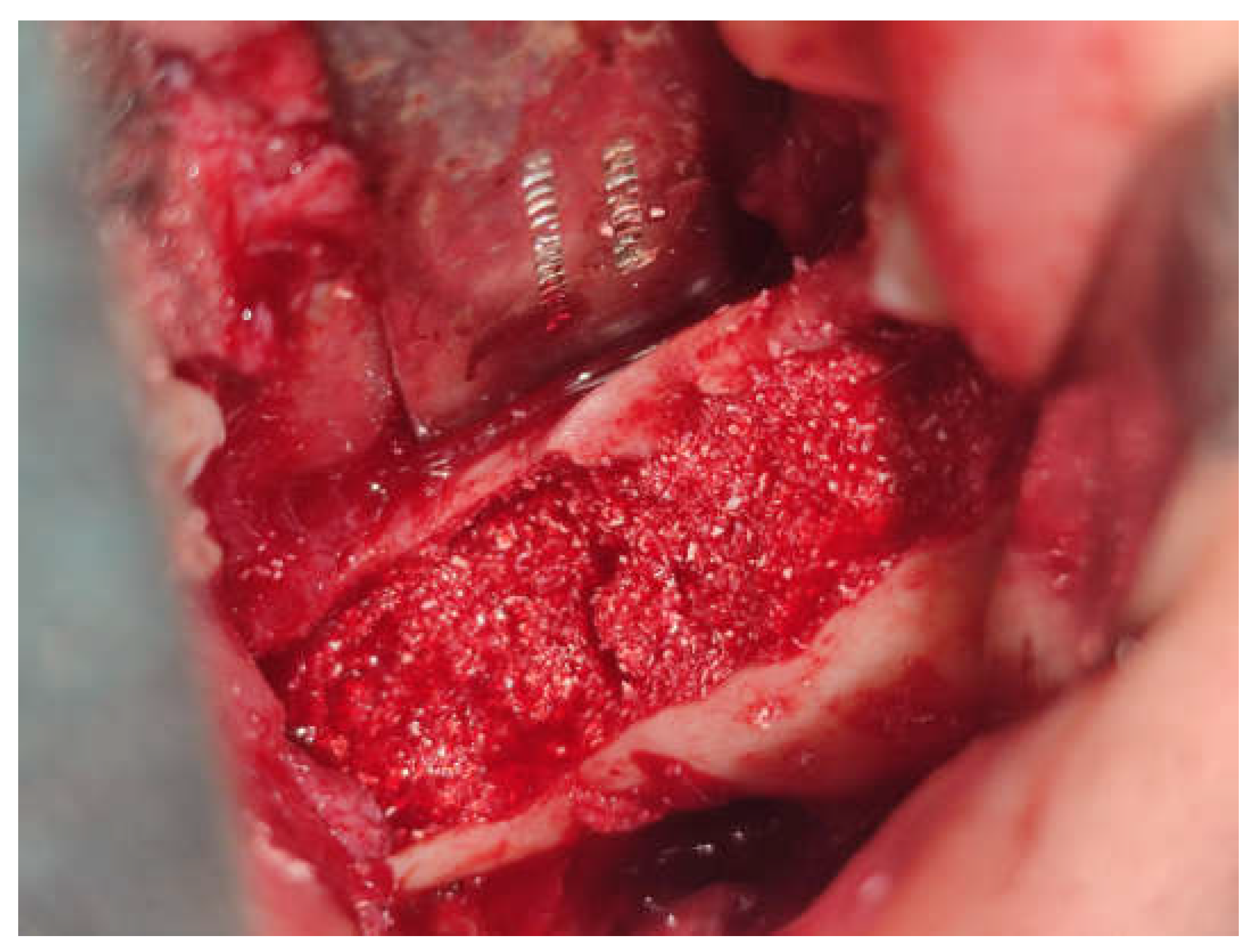 Preprints 153534 g008