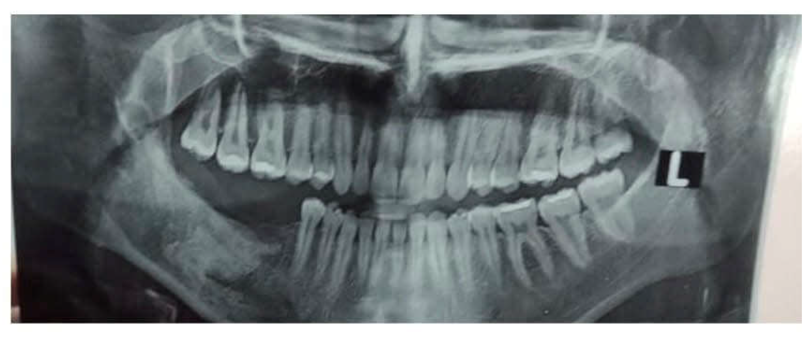 Preprints 153534 g009