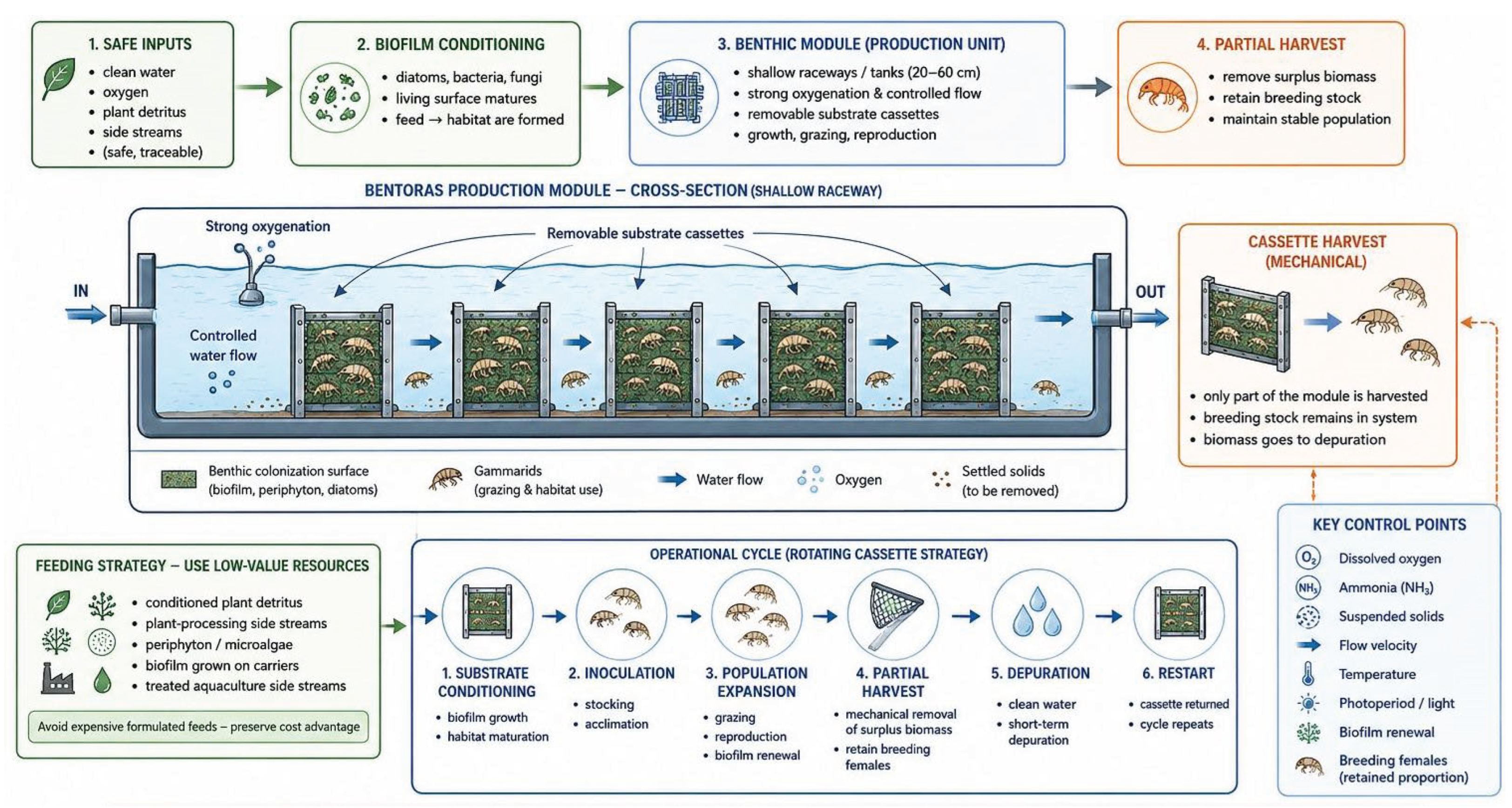 Preprints 224485 g004
