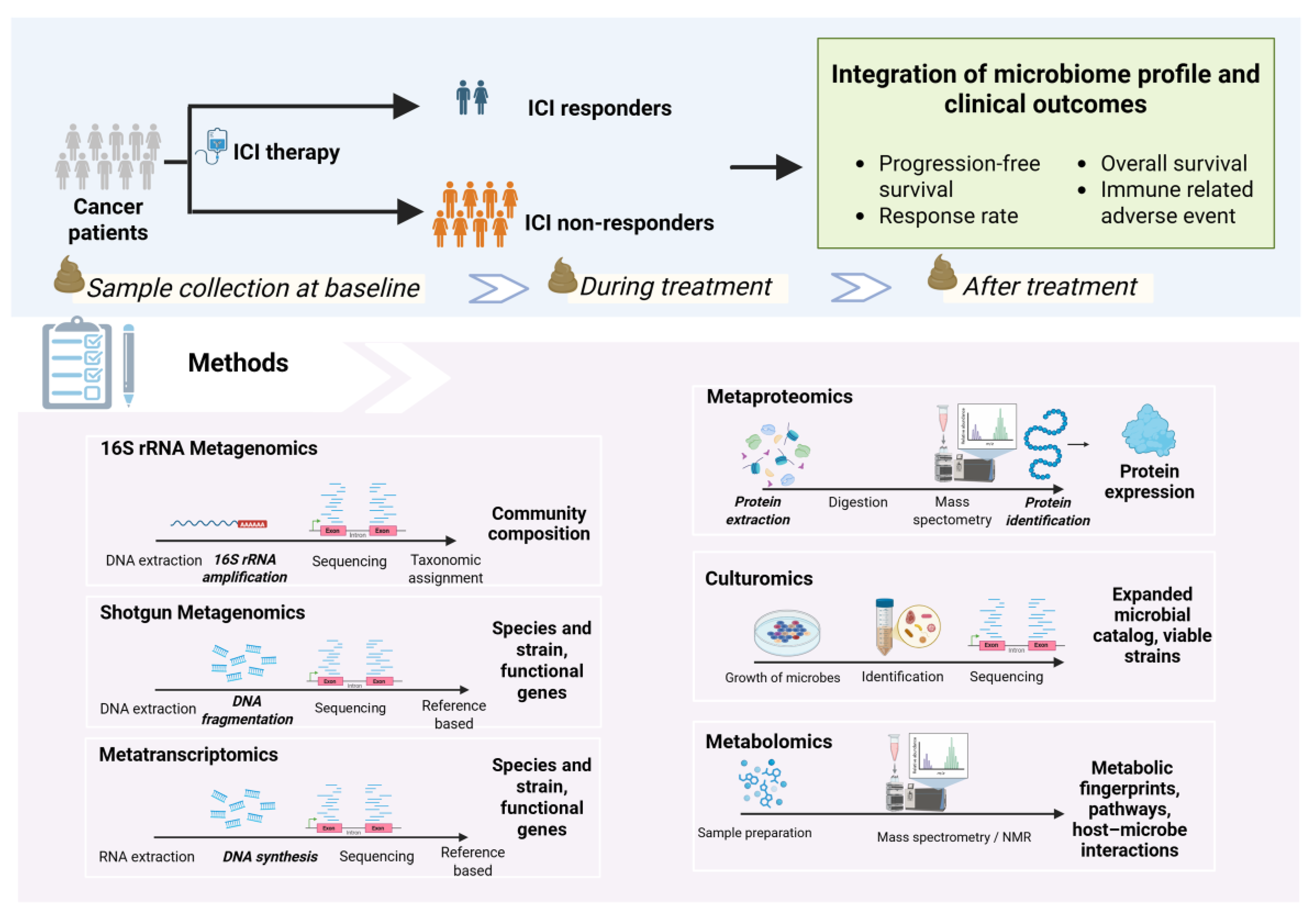 Preprints 181492 g002