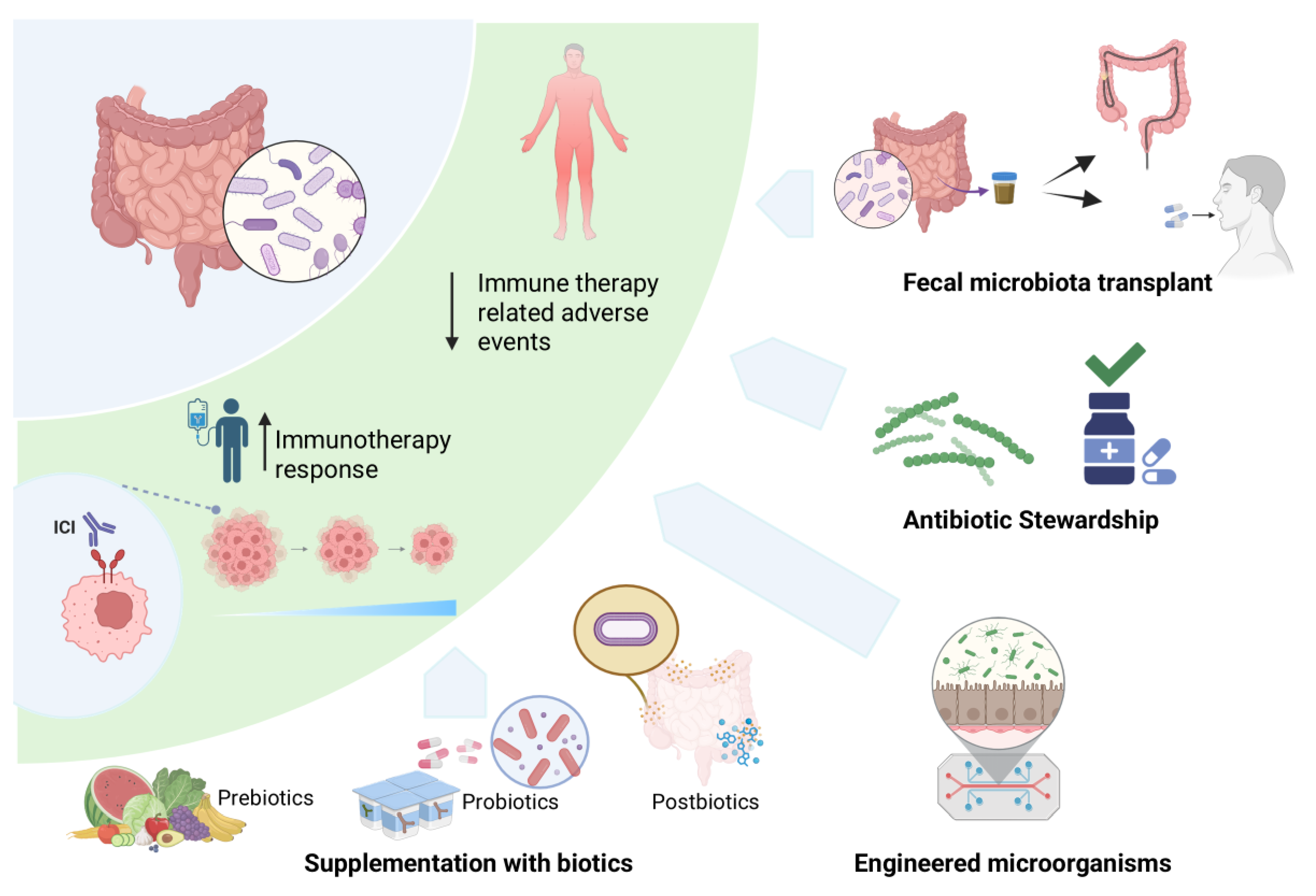Preprints 181492 g003