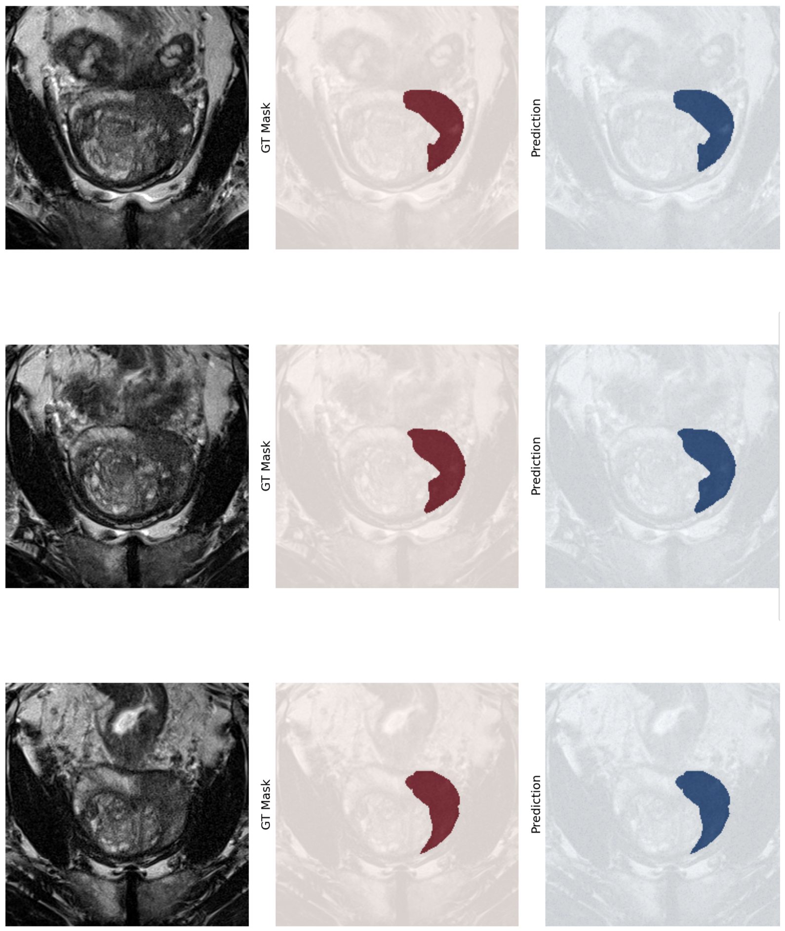 Preprints 238094 g011 Preprints 238094 g011