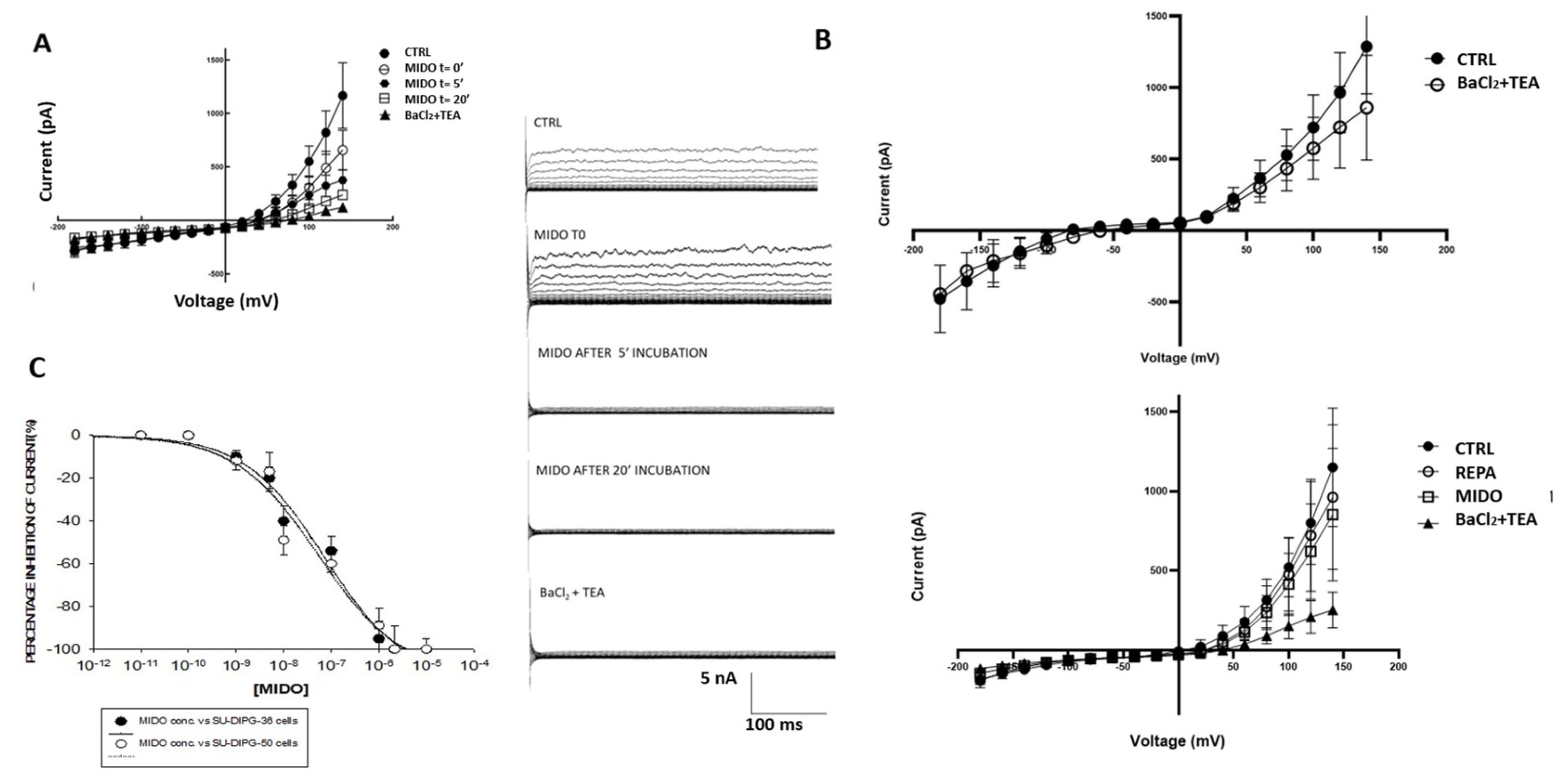 Preprints 190980 g007