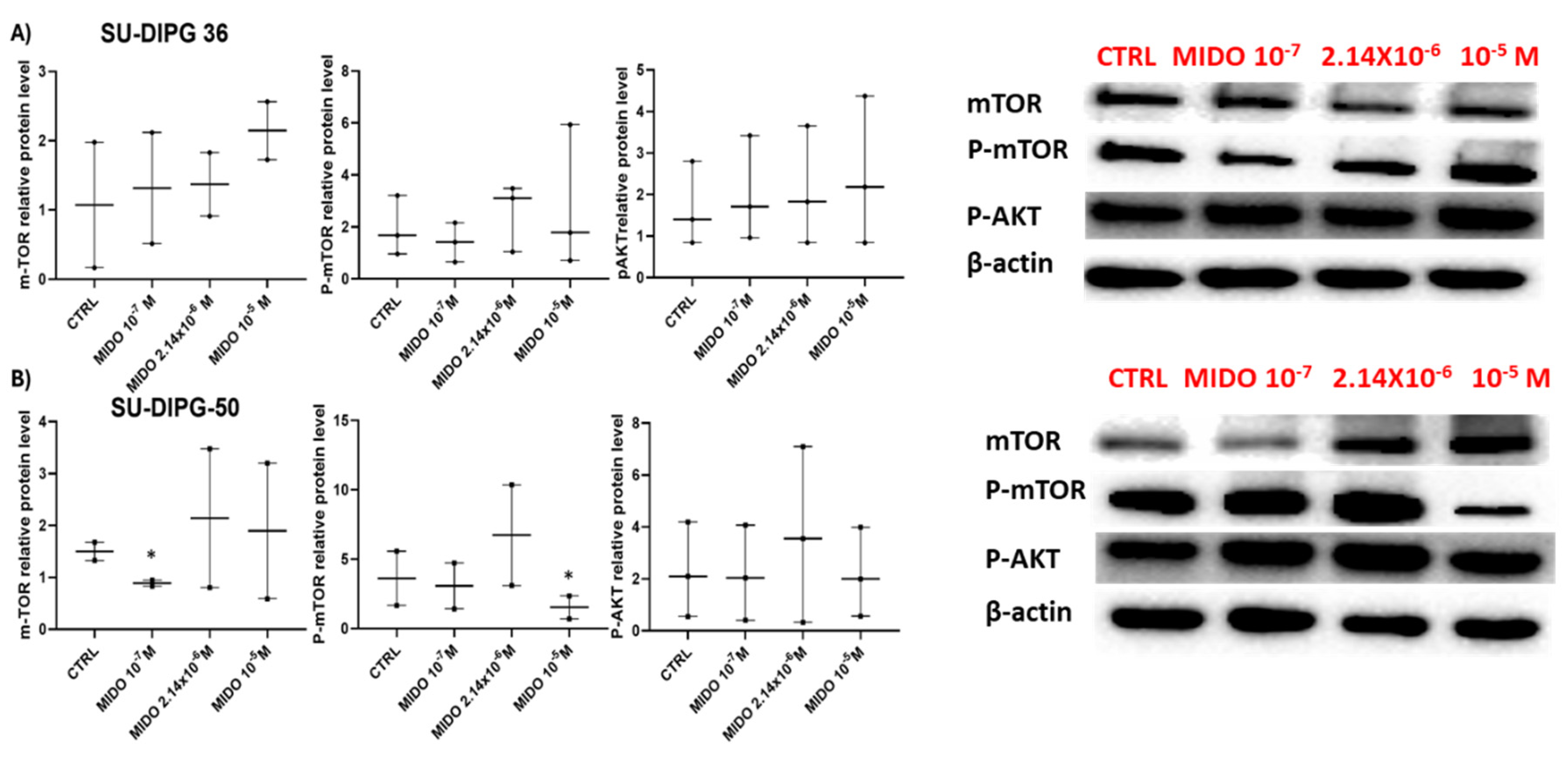 Preprints 190980 g010