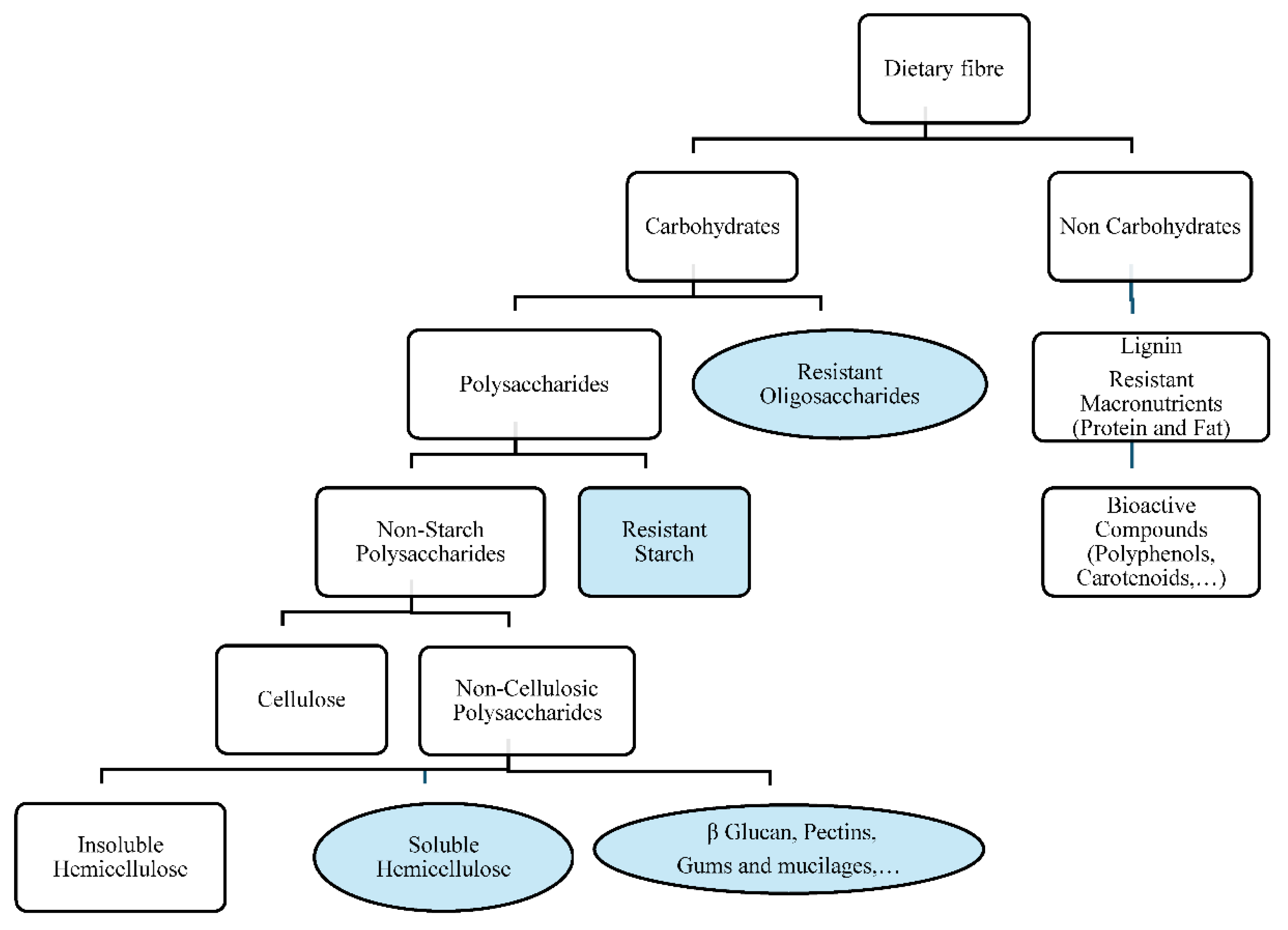 Plant Foods as Healthy Sources of Dietary Fibre and Bioactive