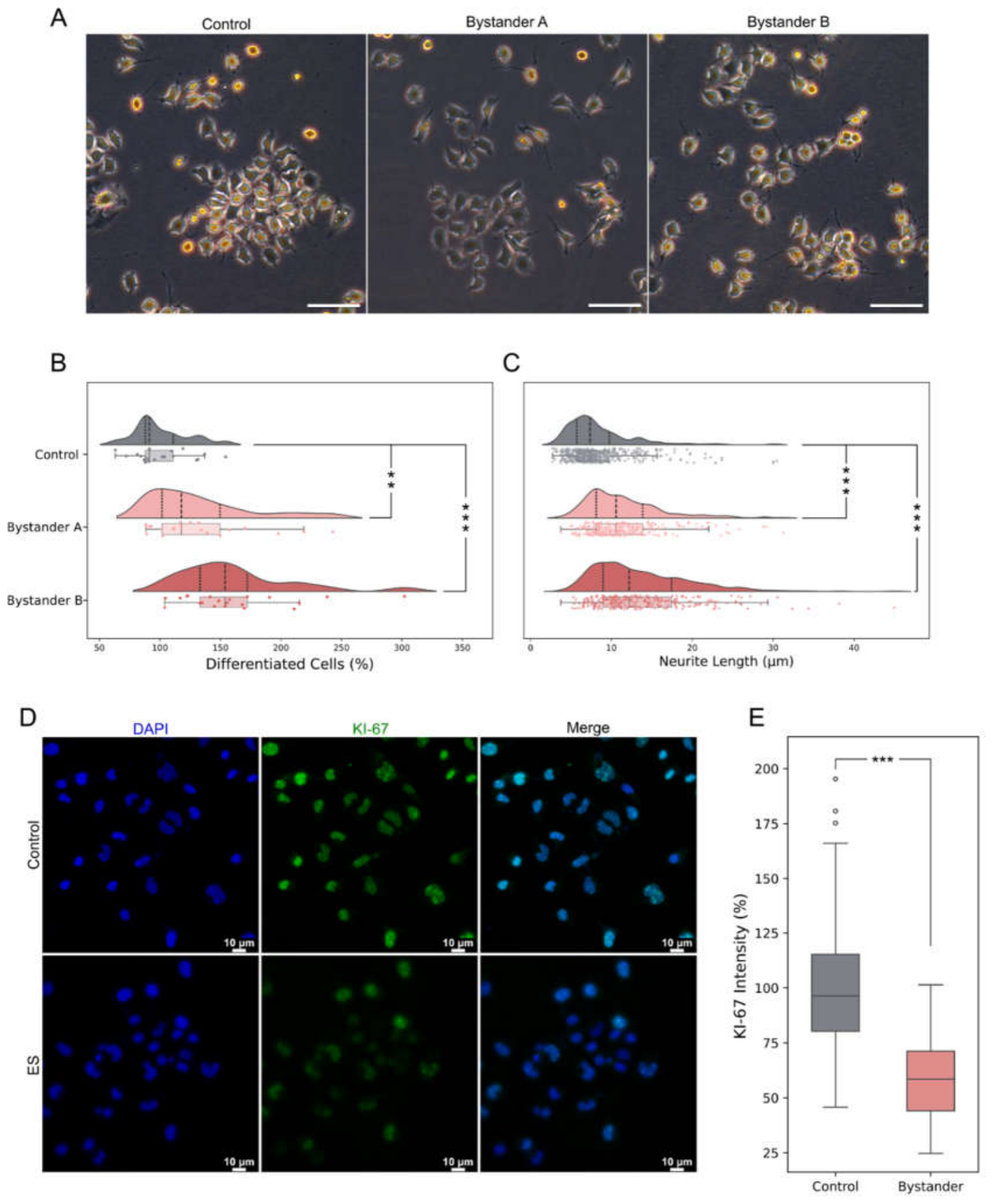 Preprints 224337 g002 Preprints 224337 g002