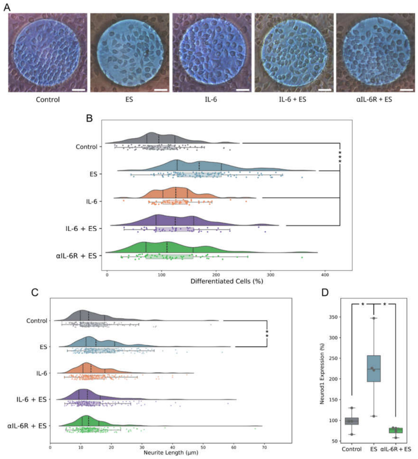 Preprints 224337 g004 Preprints 224337 g004