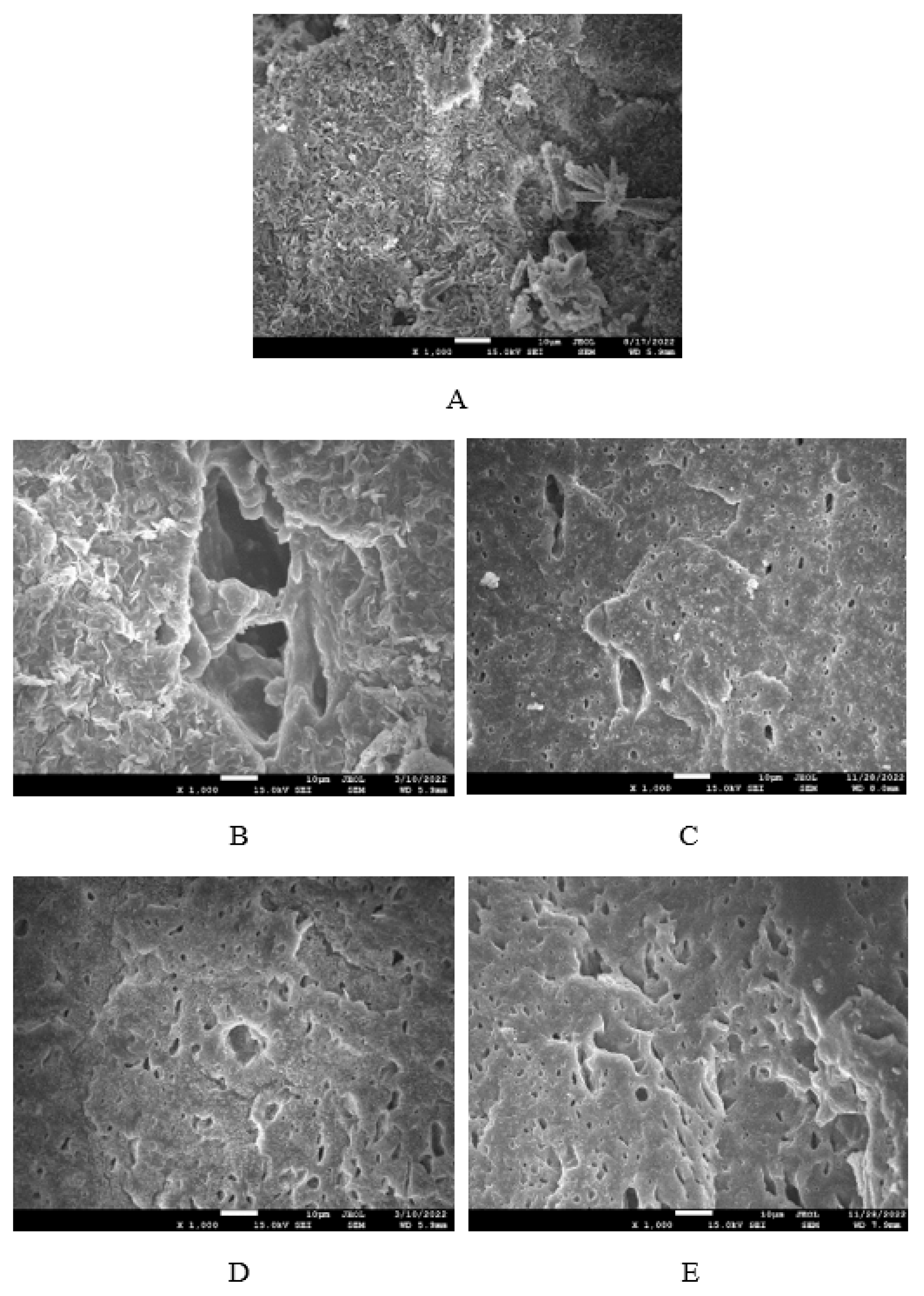 Preprints 139616 g015