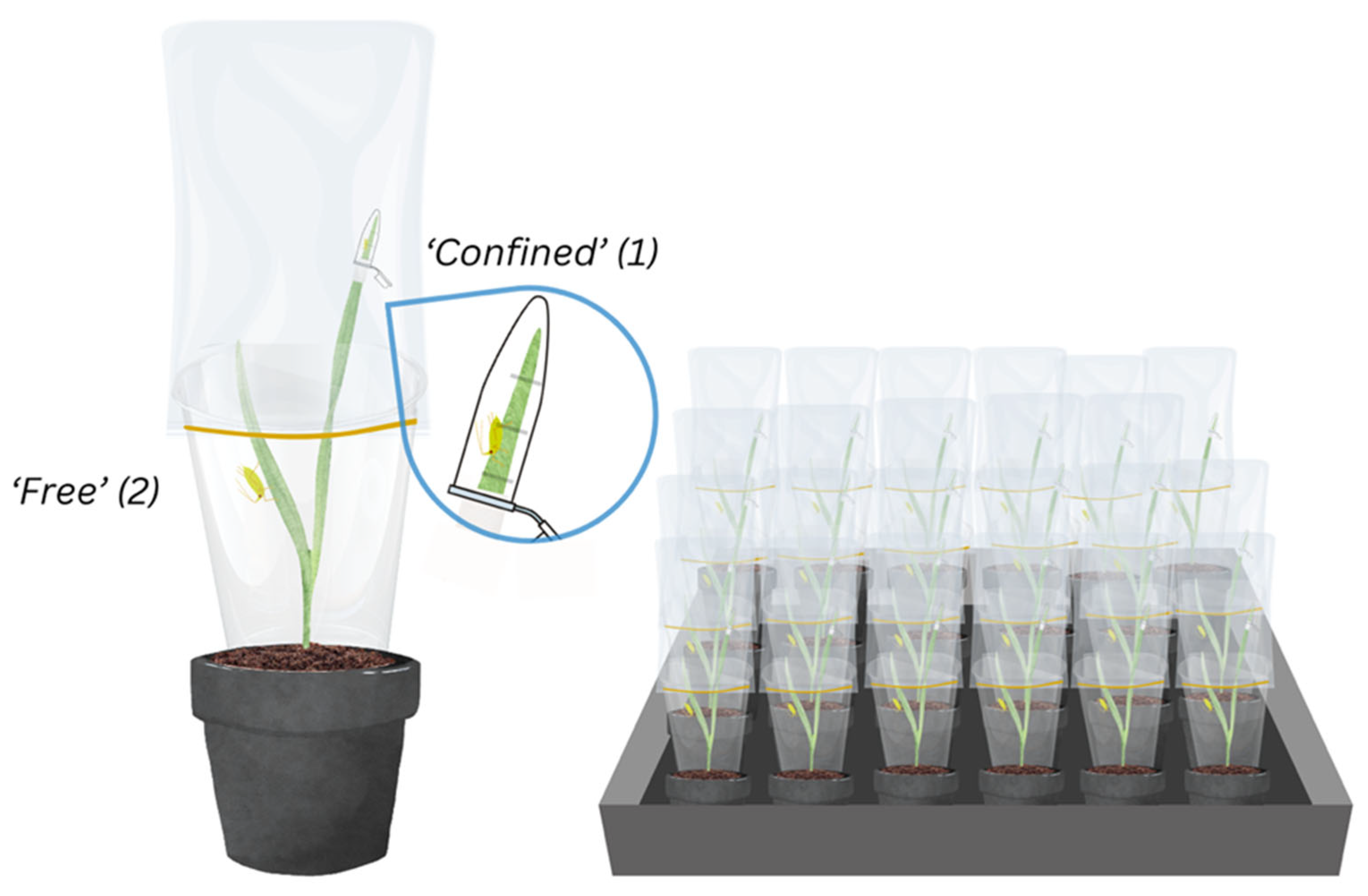 Preprints 152280 g001