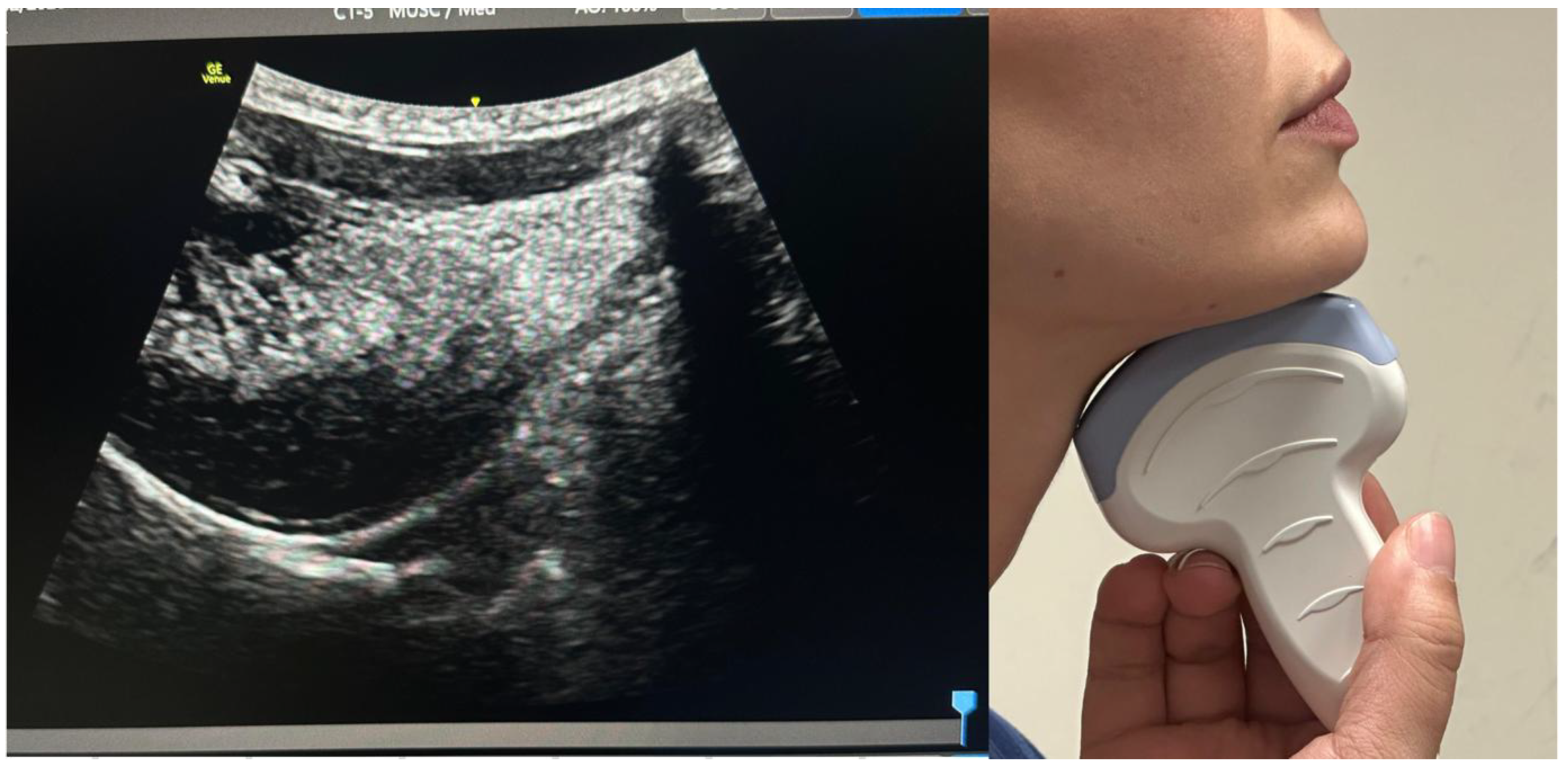 Preprints 201753 g002