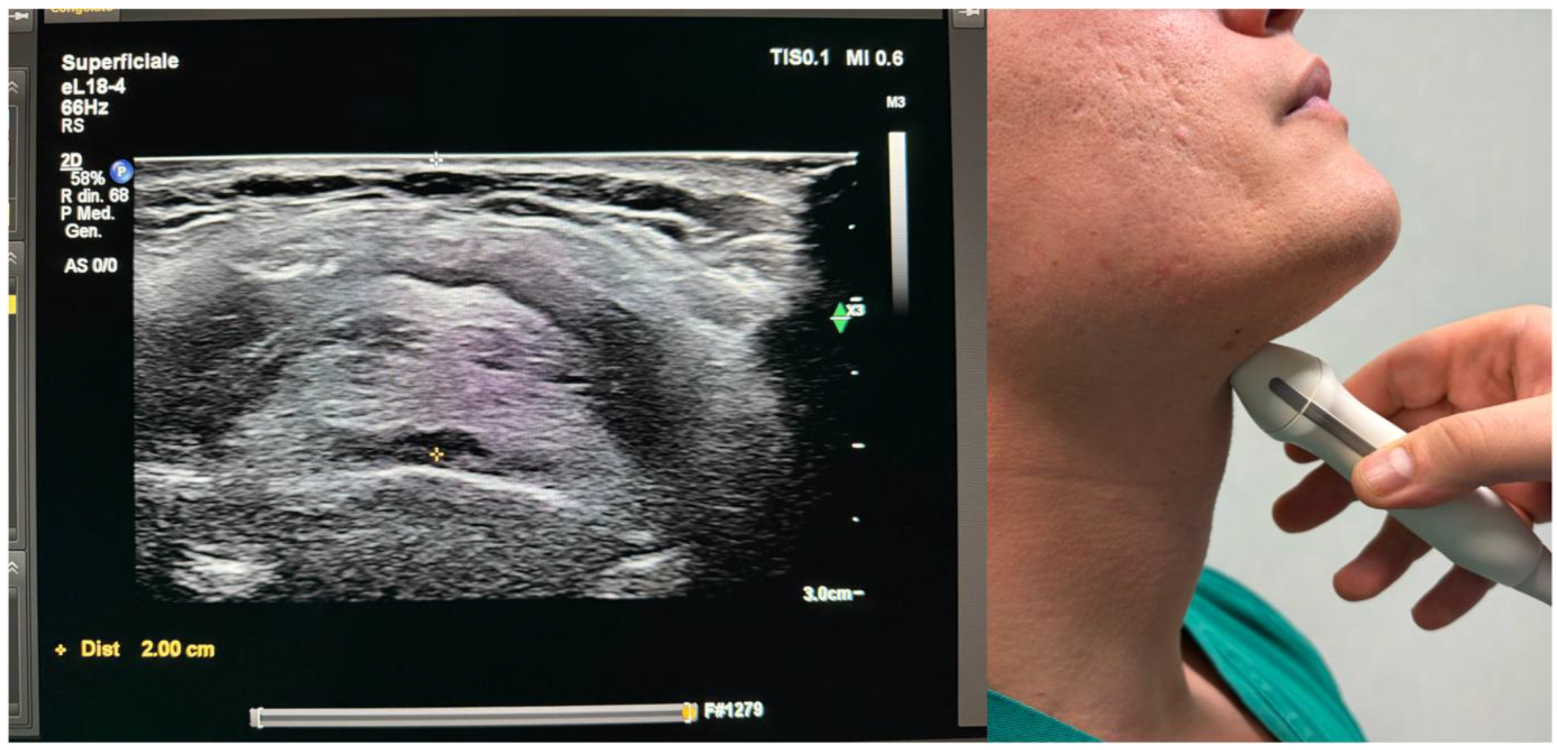 Preprints 201753 g003