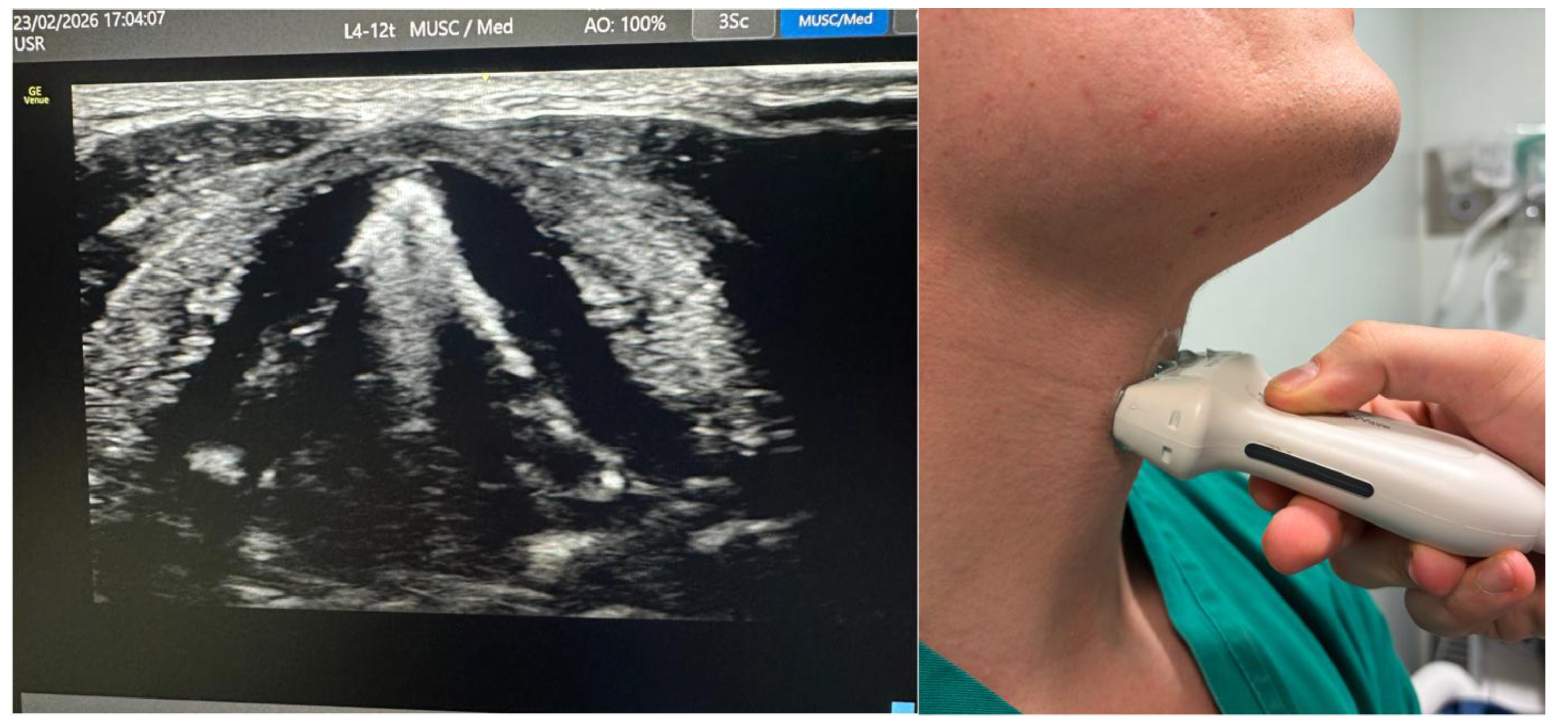 Preprints 201753 g004