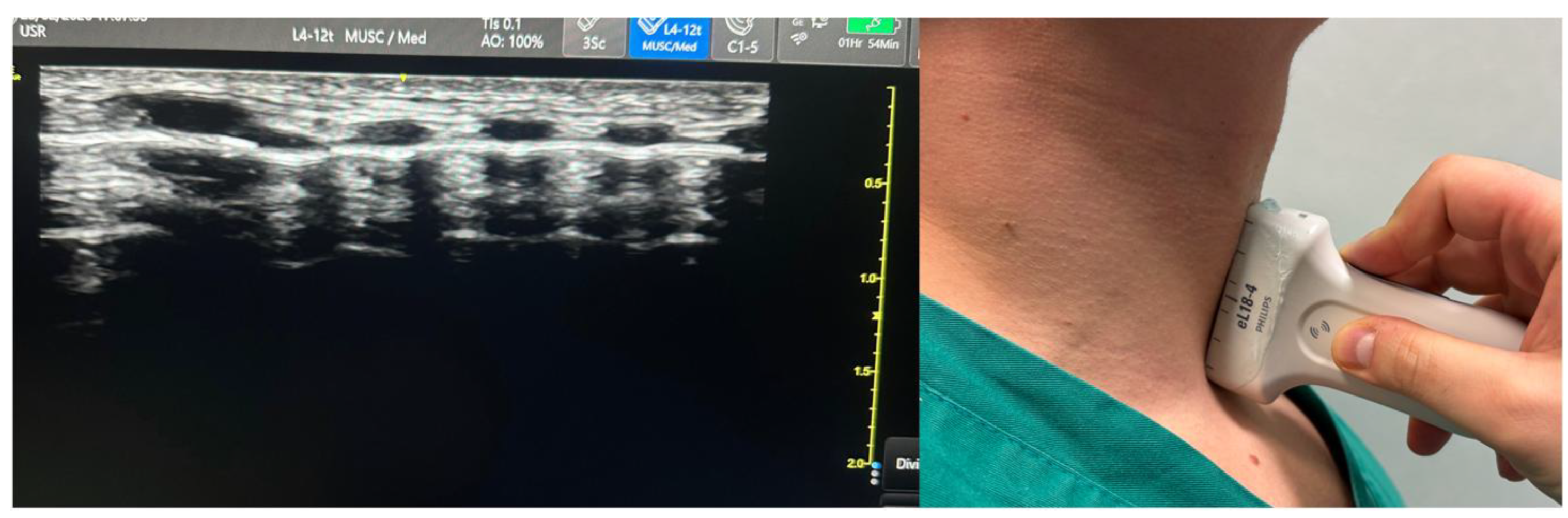 Preprints 201753 g005