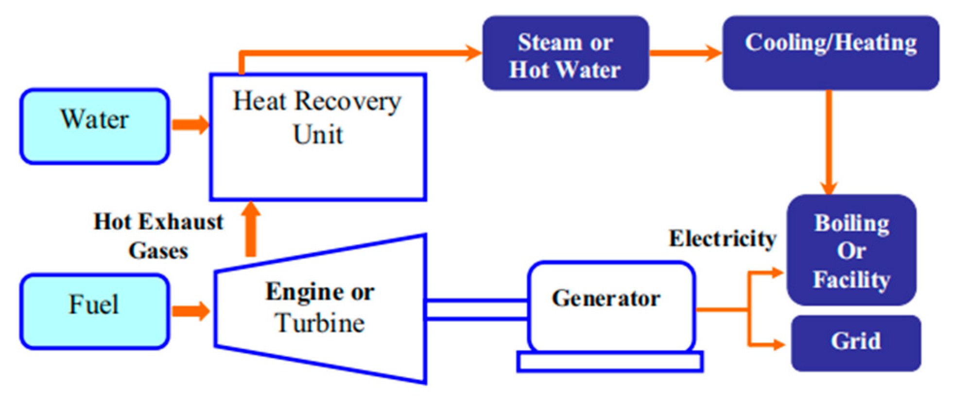 Preprints 71908 g015
