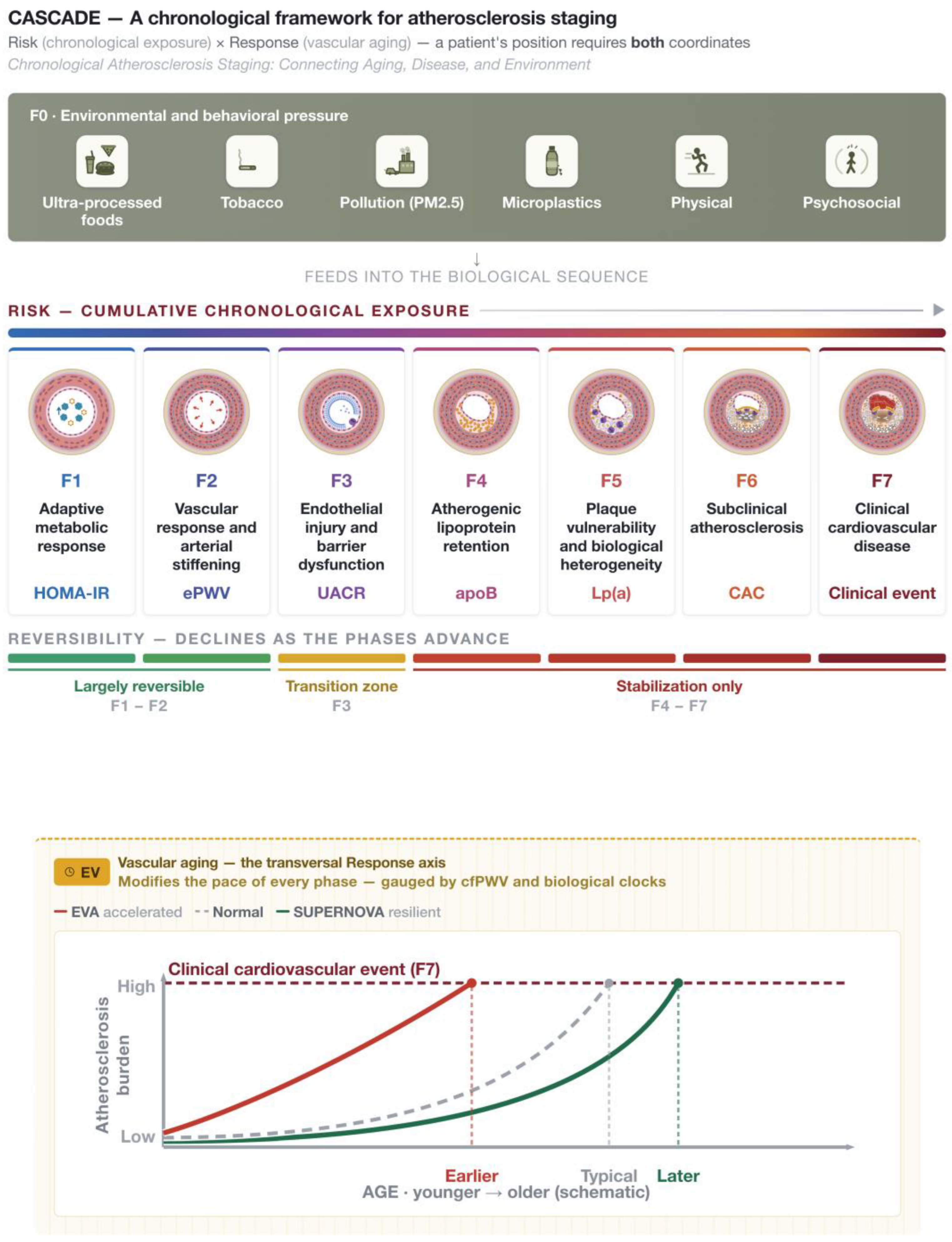 Preprints 221266 g001 Preprints 221266 g001