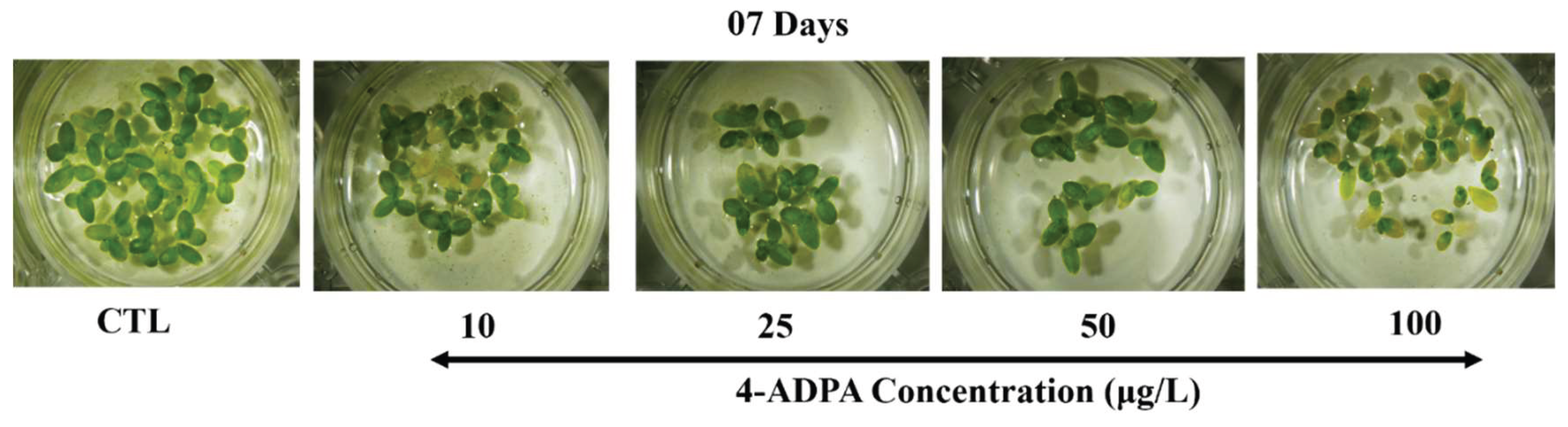 Preprints 159258 g001